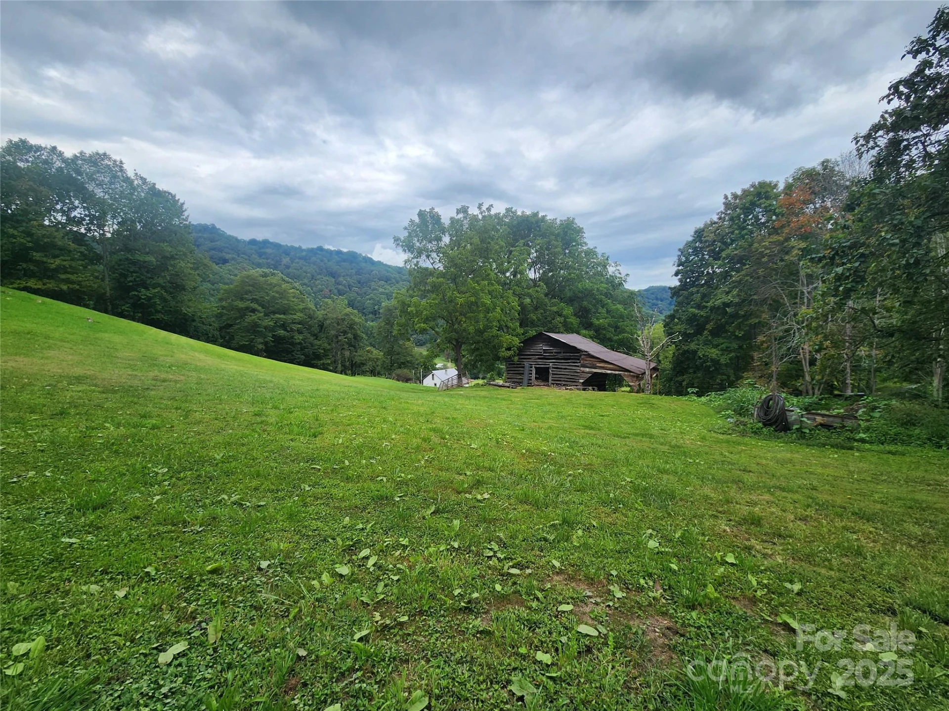 1925 Fork Road - Photo 13