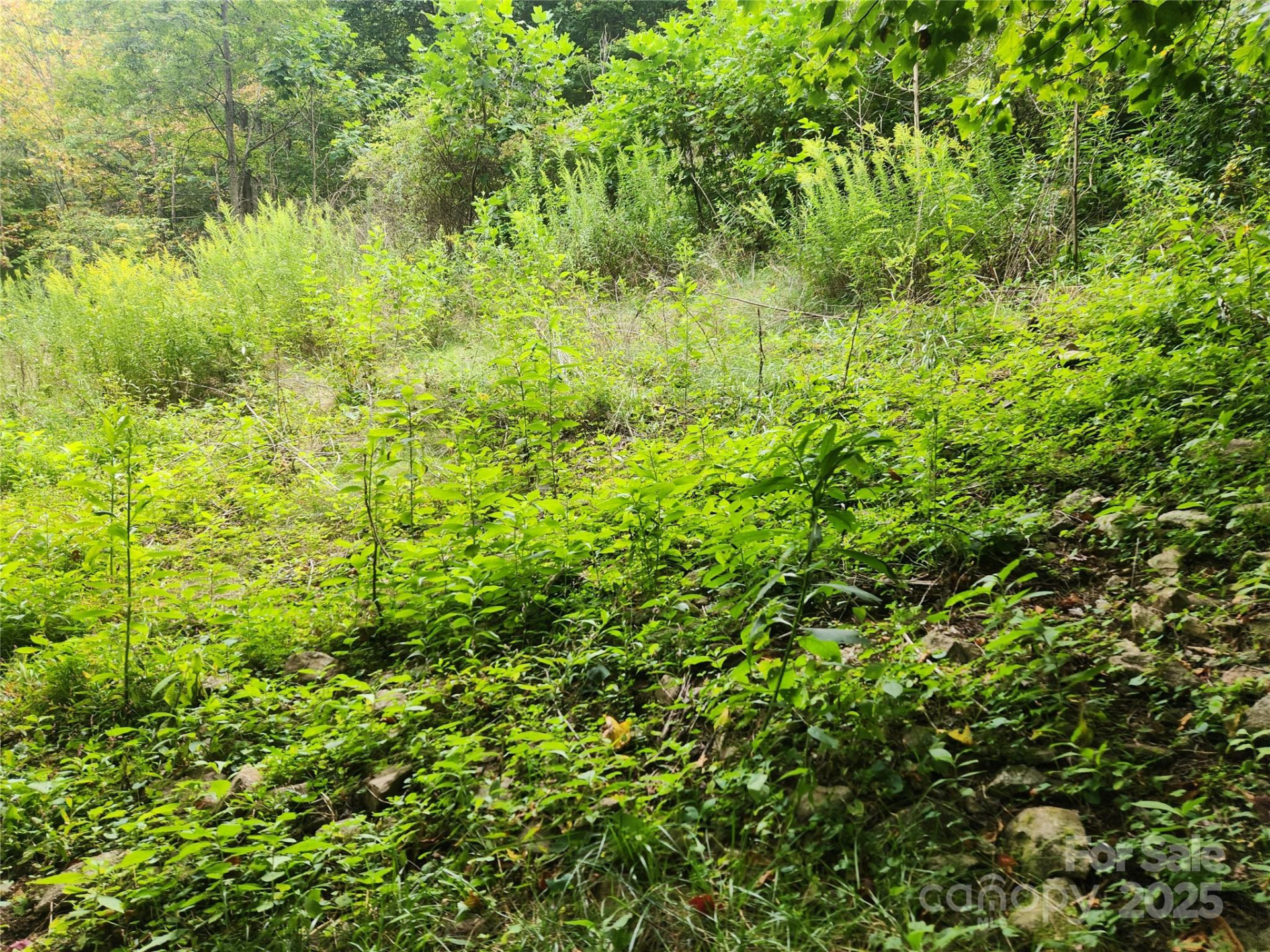 1925 Fork Road - Photo 16