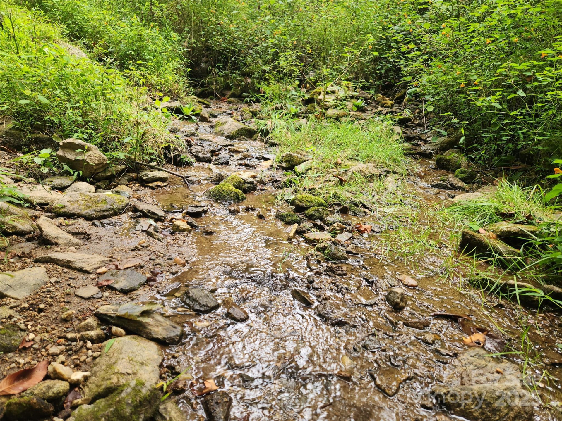 1925 Fork Road - Photo 17