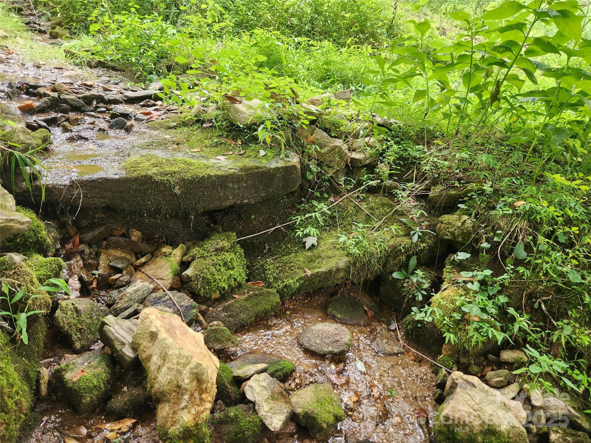 1925 Fork Road - Photo 18