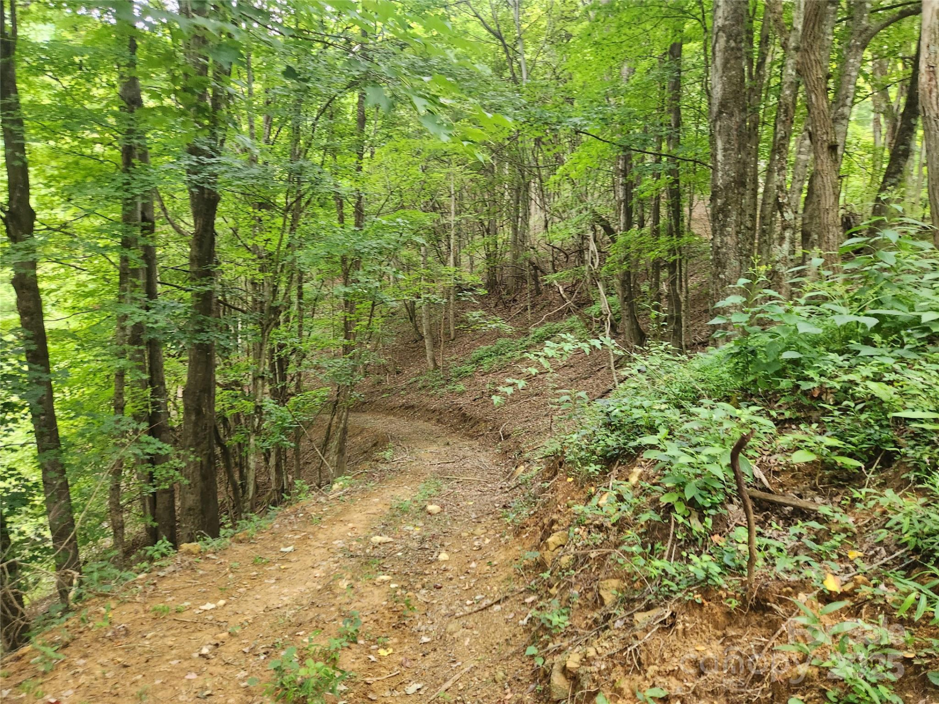 1925 Fork Road - Photo 19