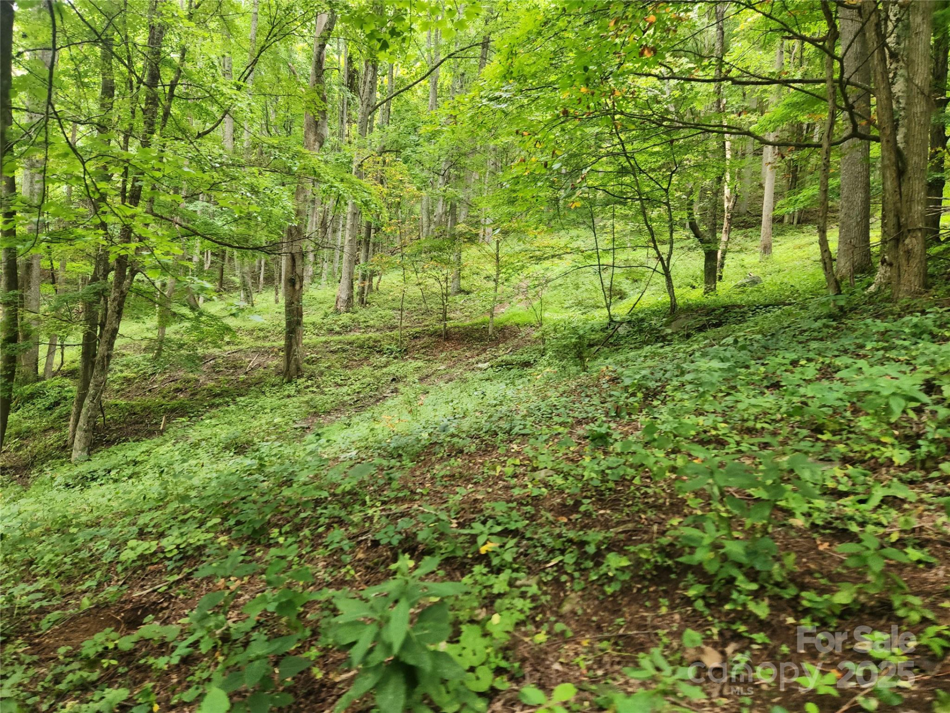 1925 Fork Road - Photo 21