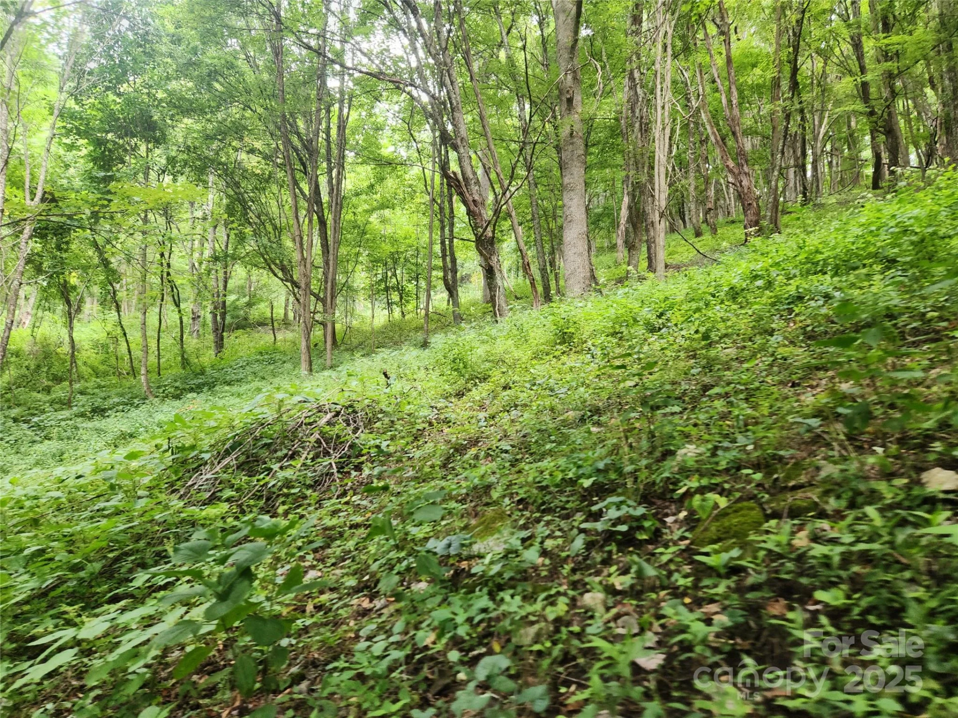 1925 Fork Road - Photo 22