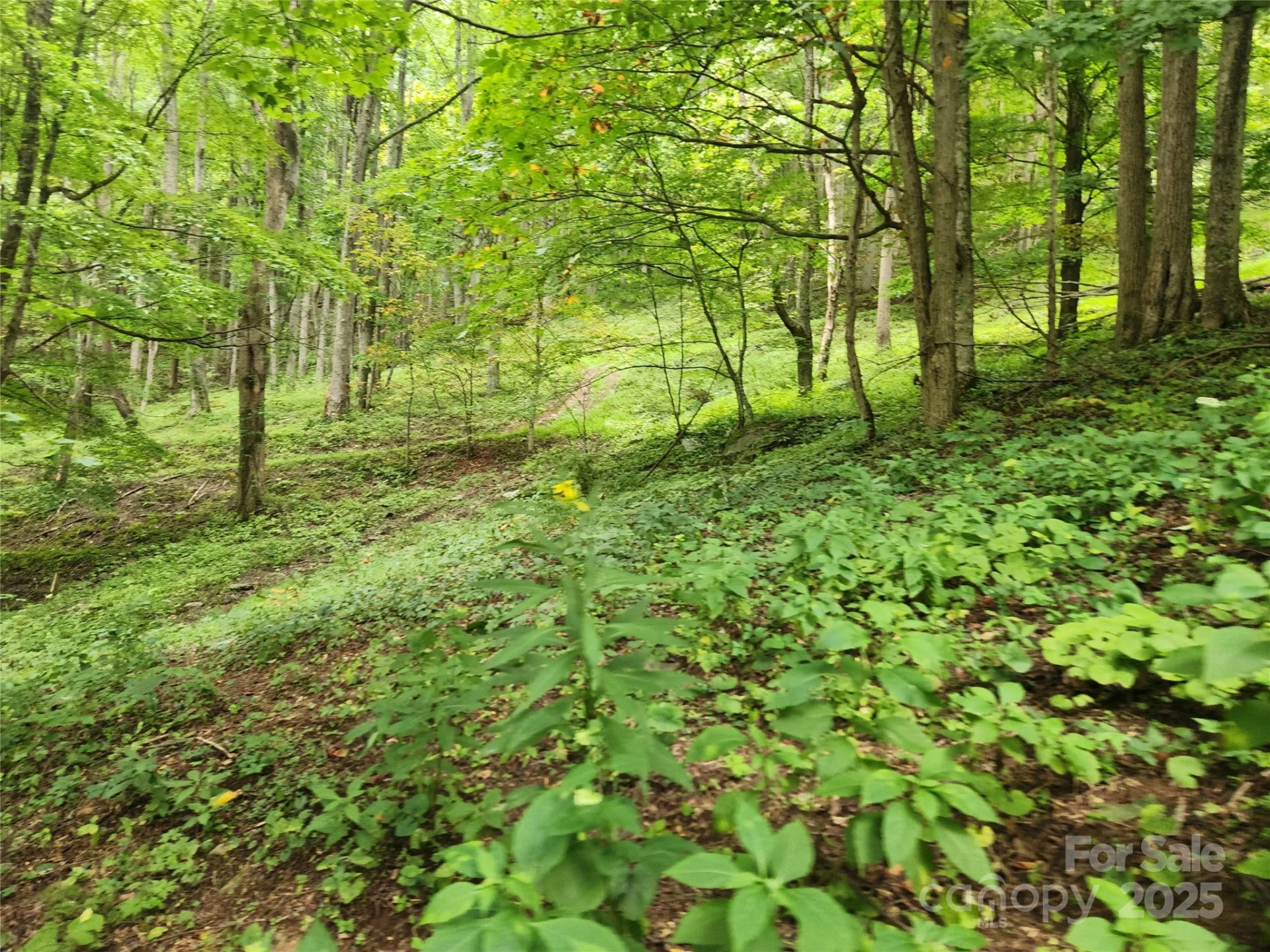 1925 Fork Road - Photo 23