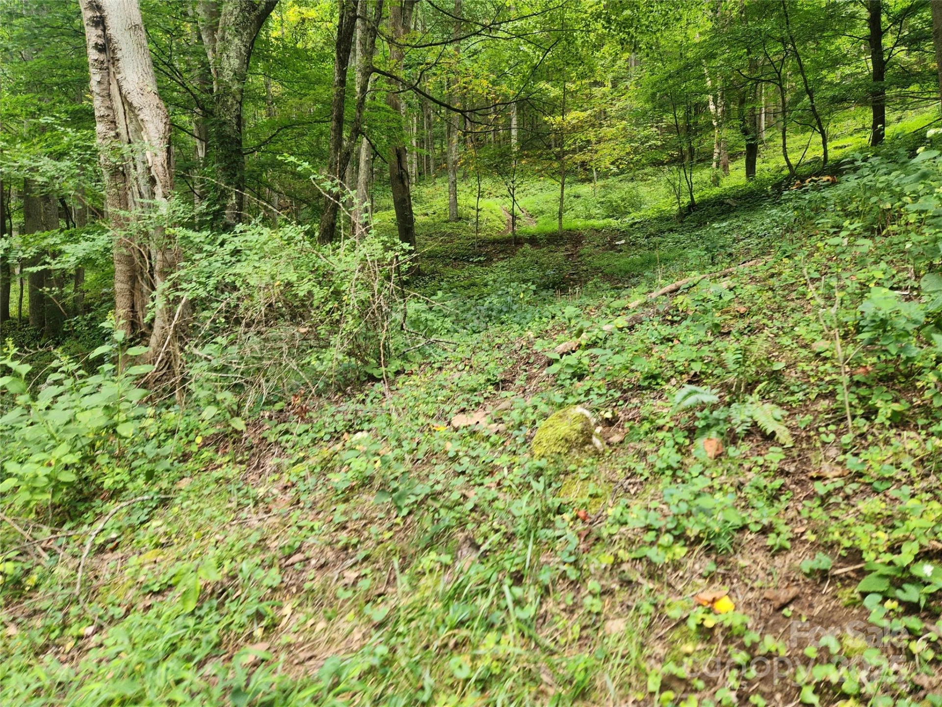 1925 Fork Road - Photo 24
