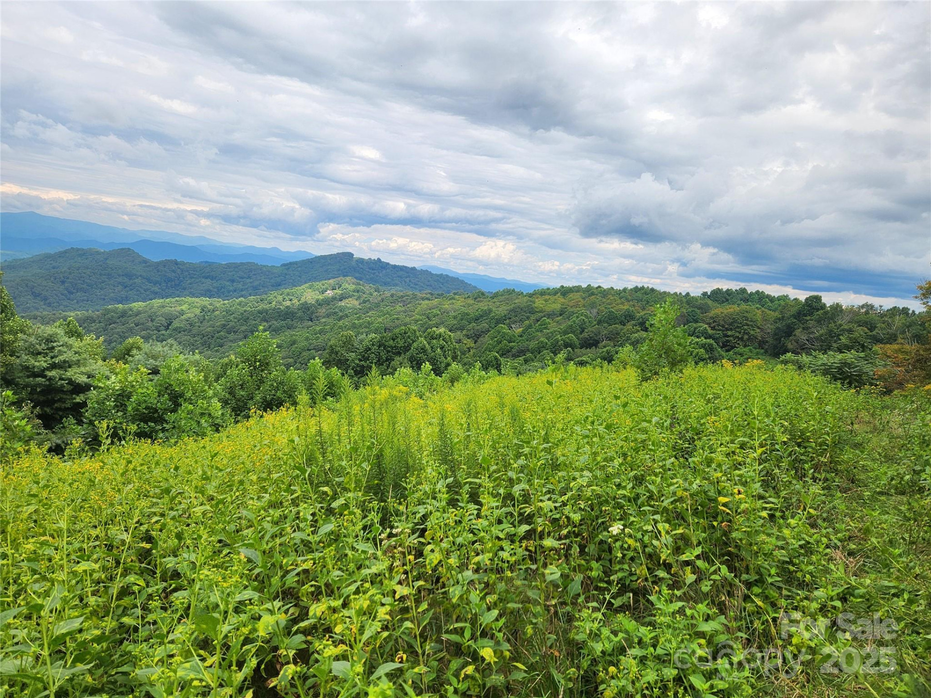 1925 Fork Road - Photo 27
