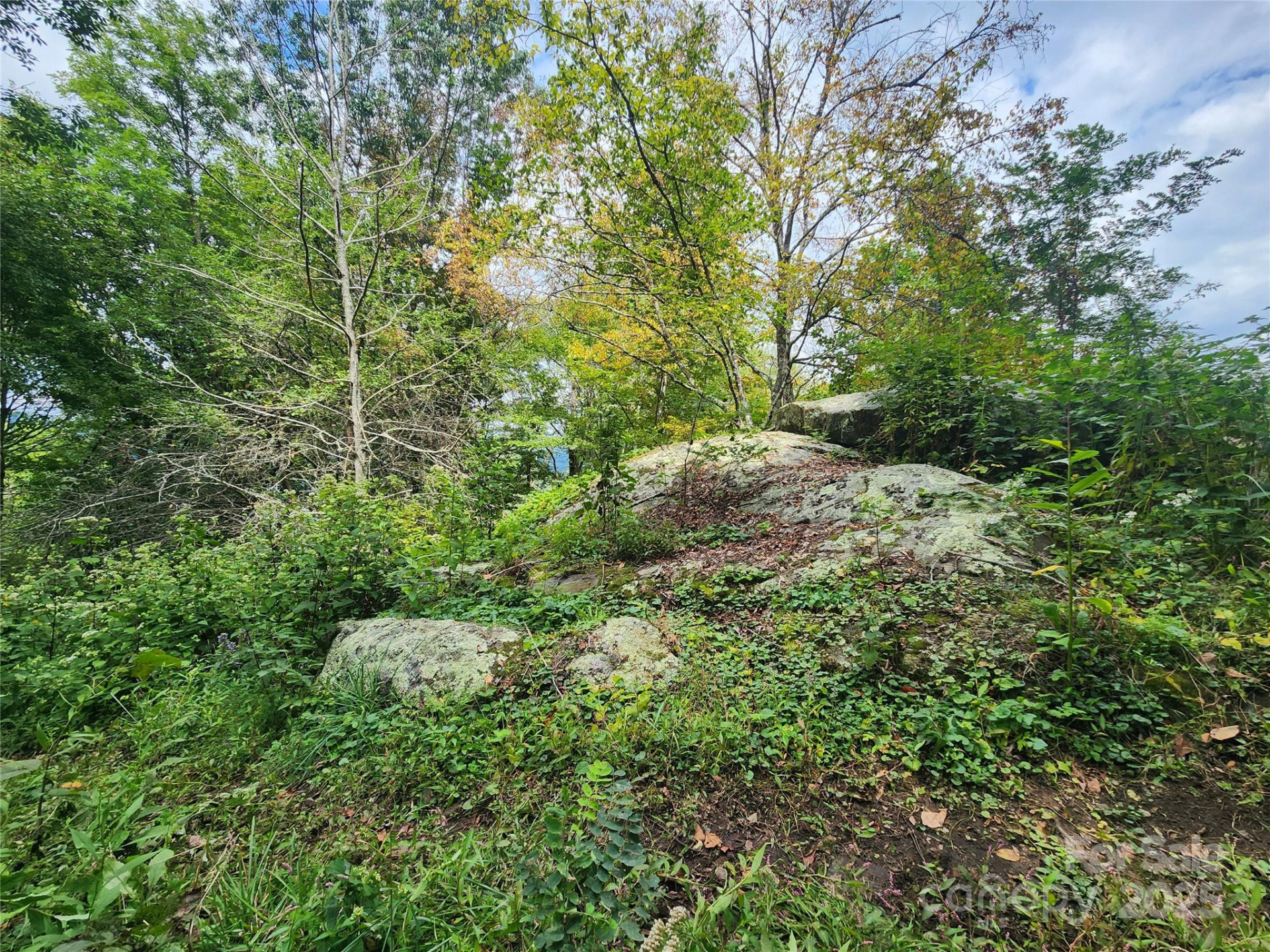 1925 Fork Road - Photo 28