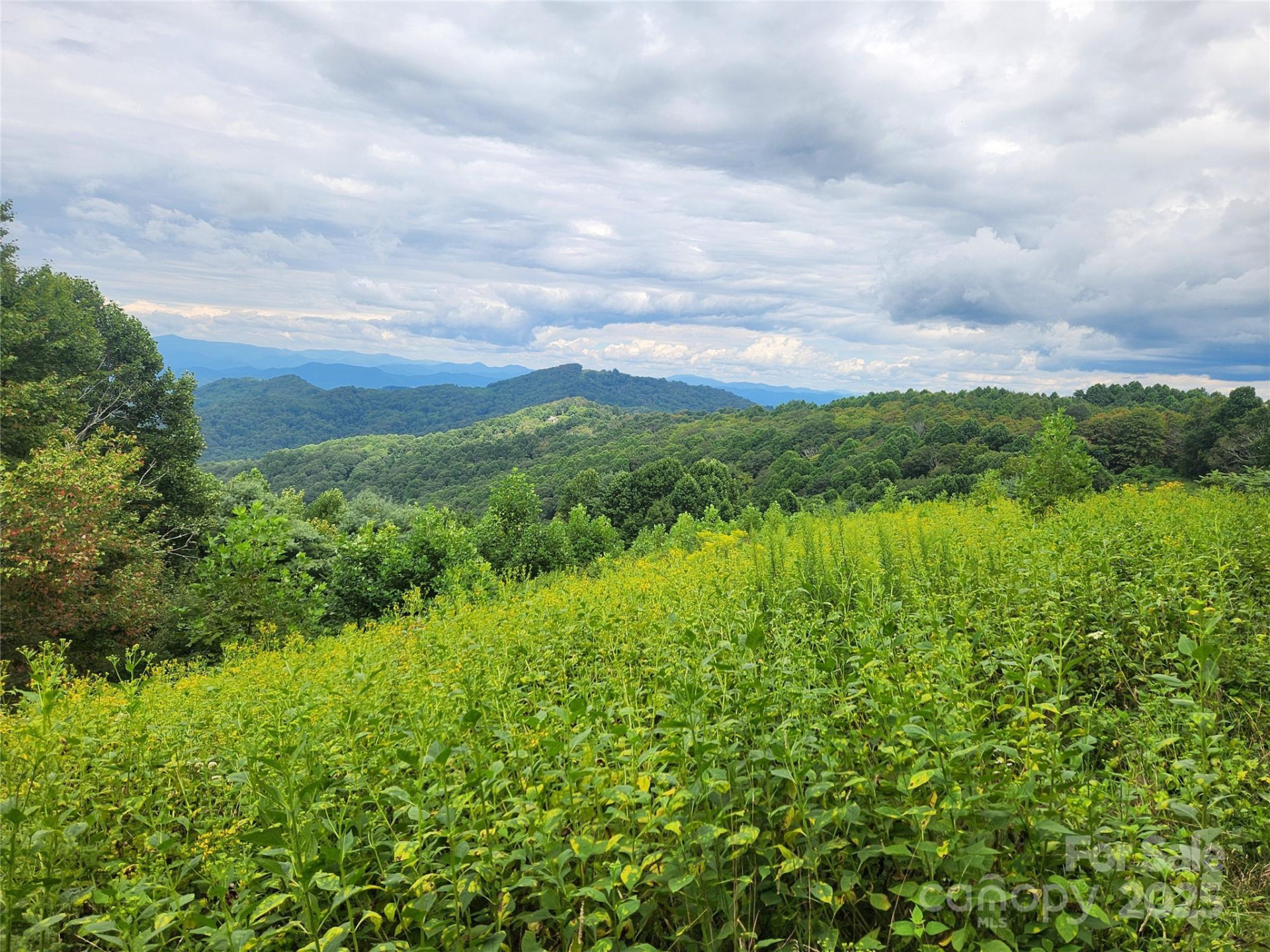 1925 Fork Road - Photo 29