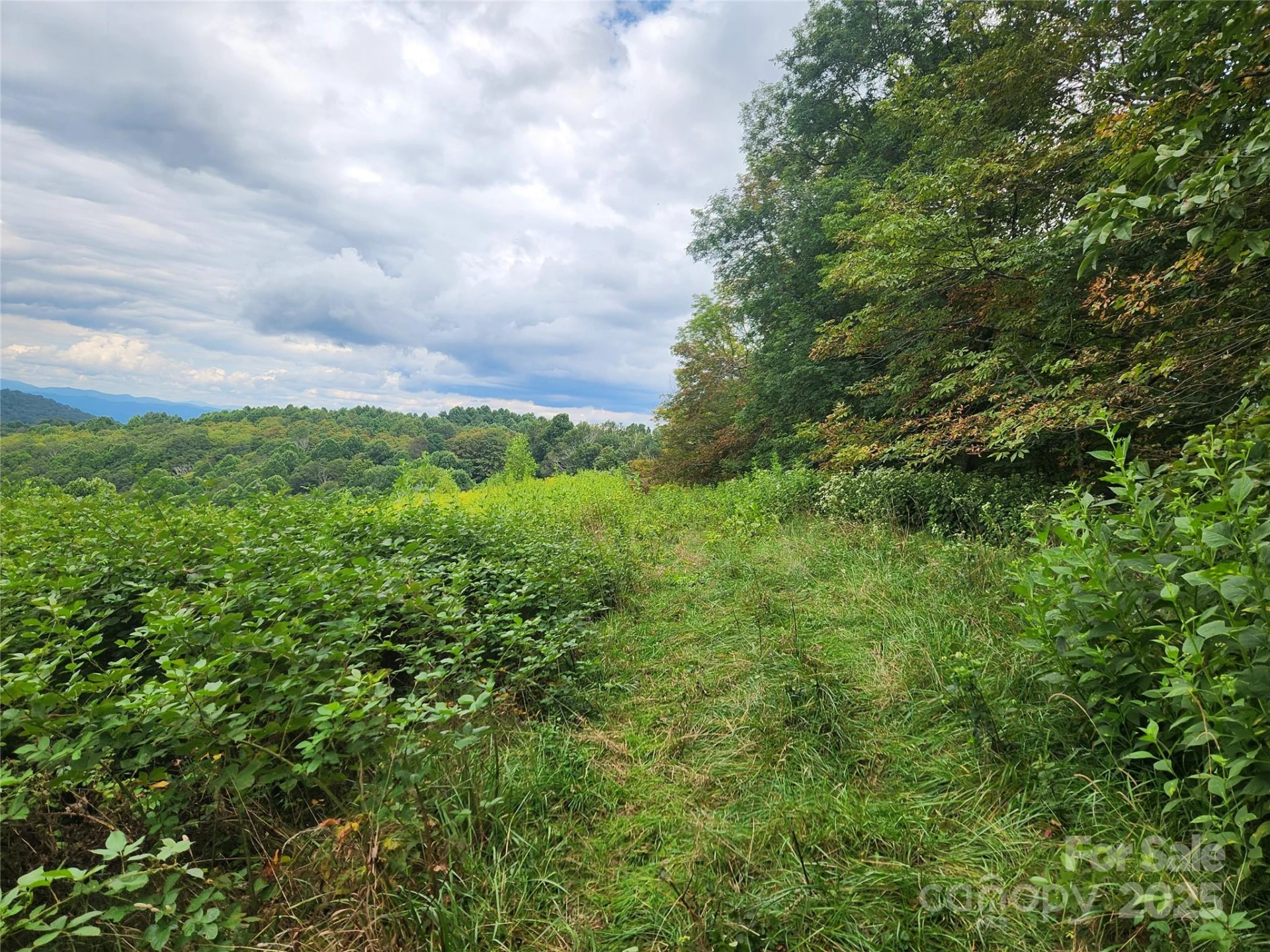 1925 Fork Road - Photo 30