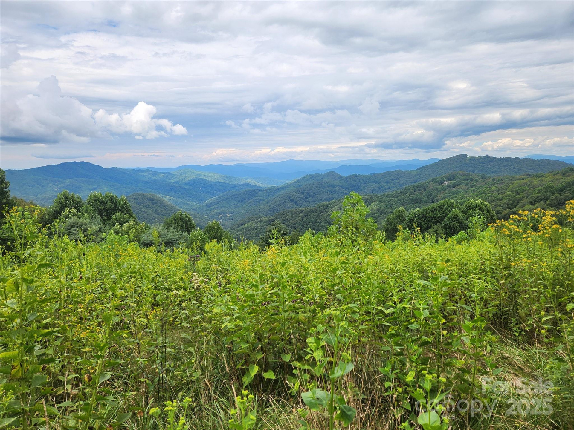 1925 Fork Road - Photo 31