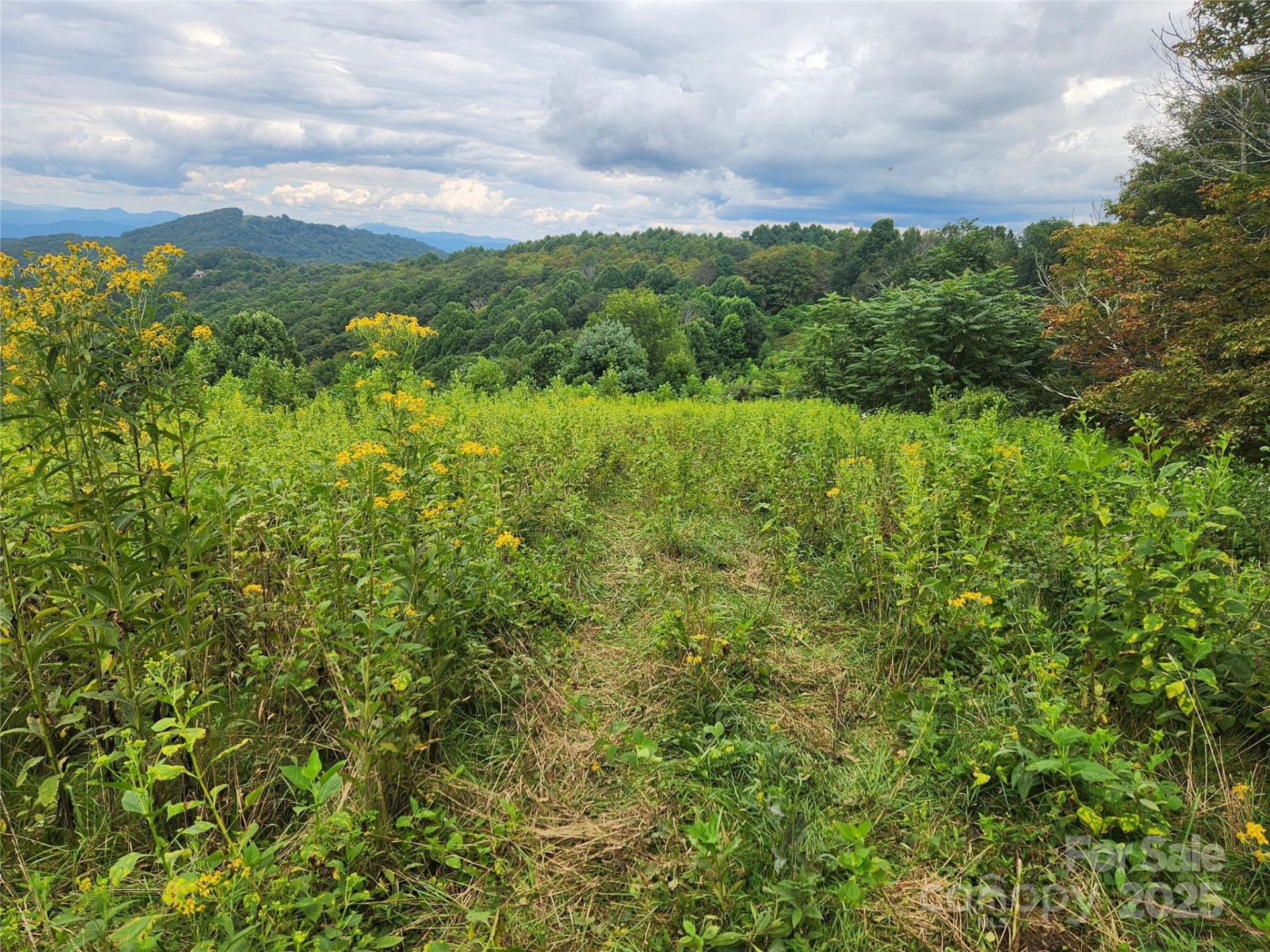1925 Fork Road - Photo 32