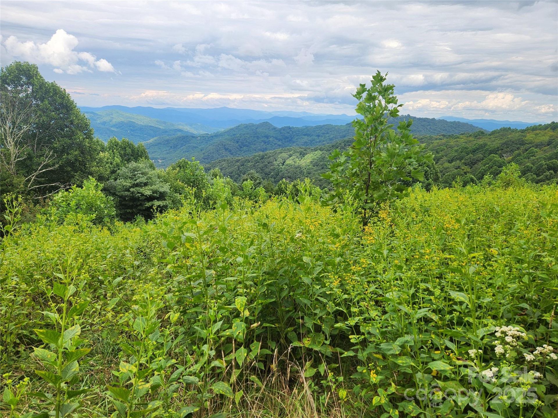 1925 Fork Road - Photo 33