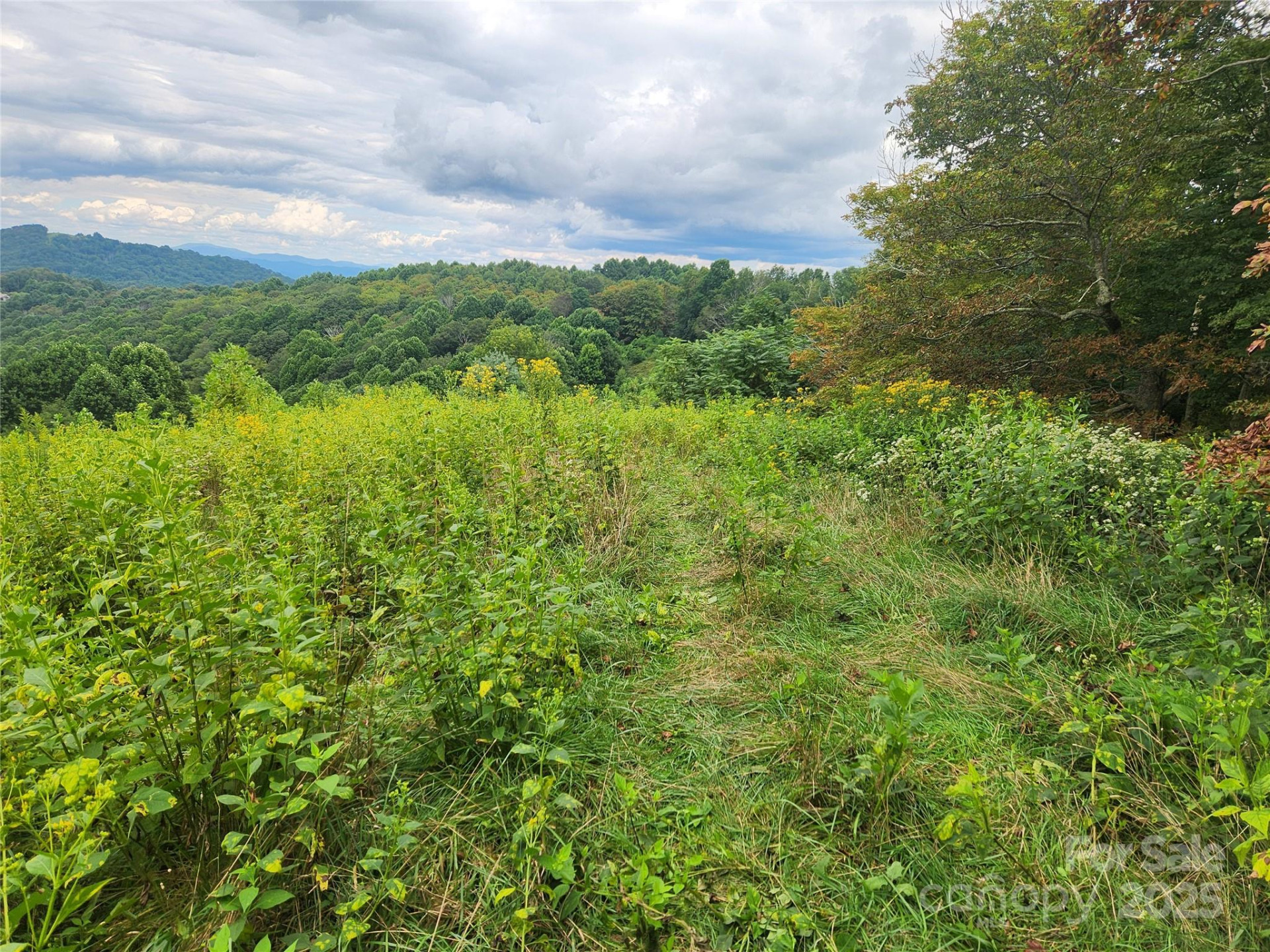 1925 Fork Road - Photo 34