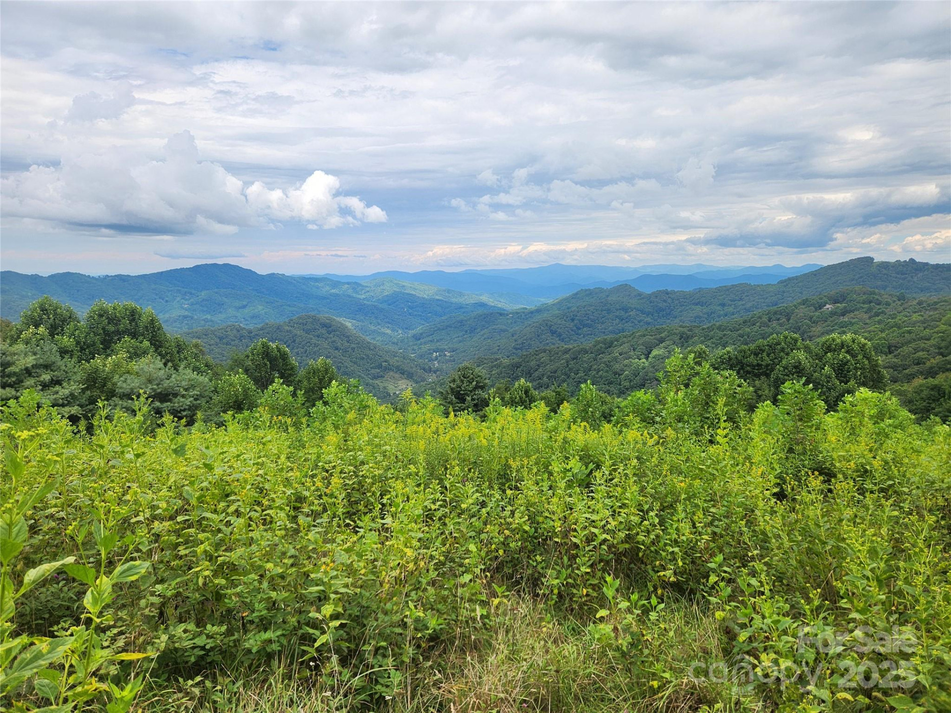 1925 Fork Road - Photo 35