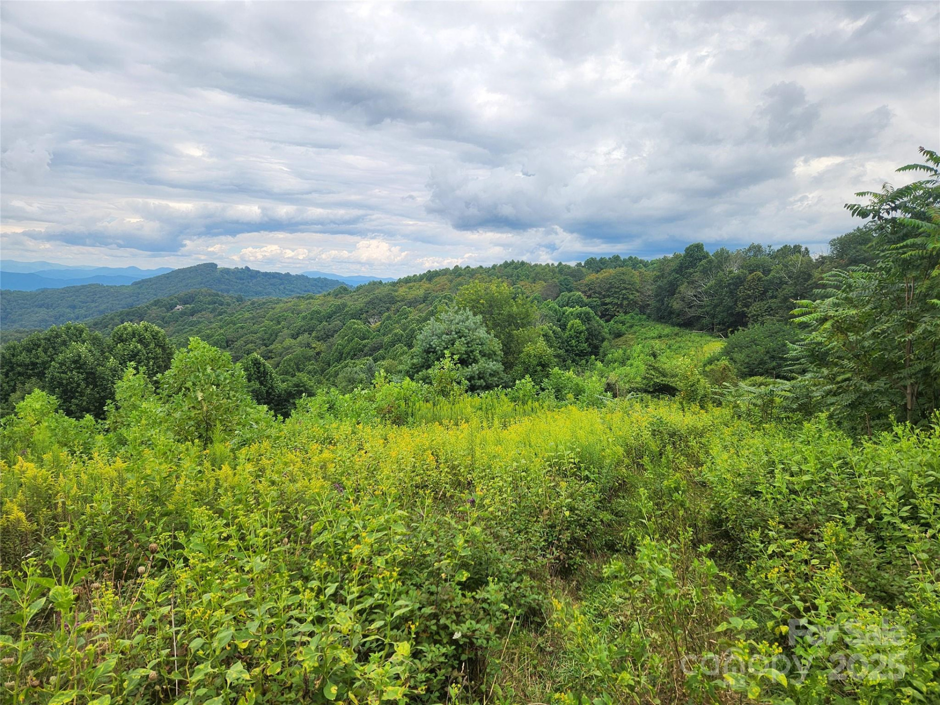 1925 Fork Road - Photo 36