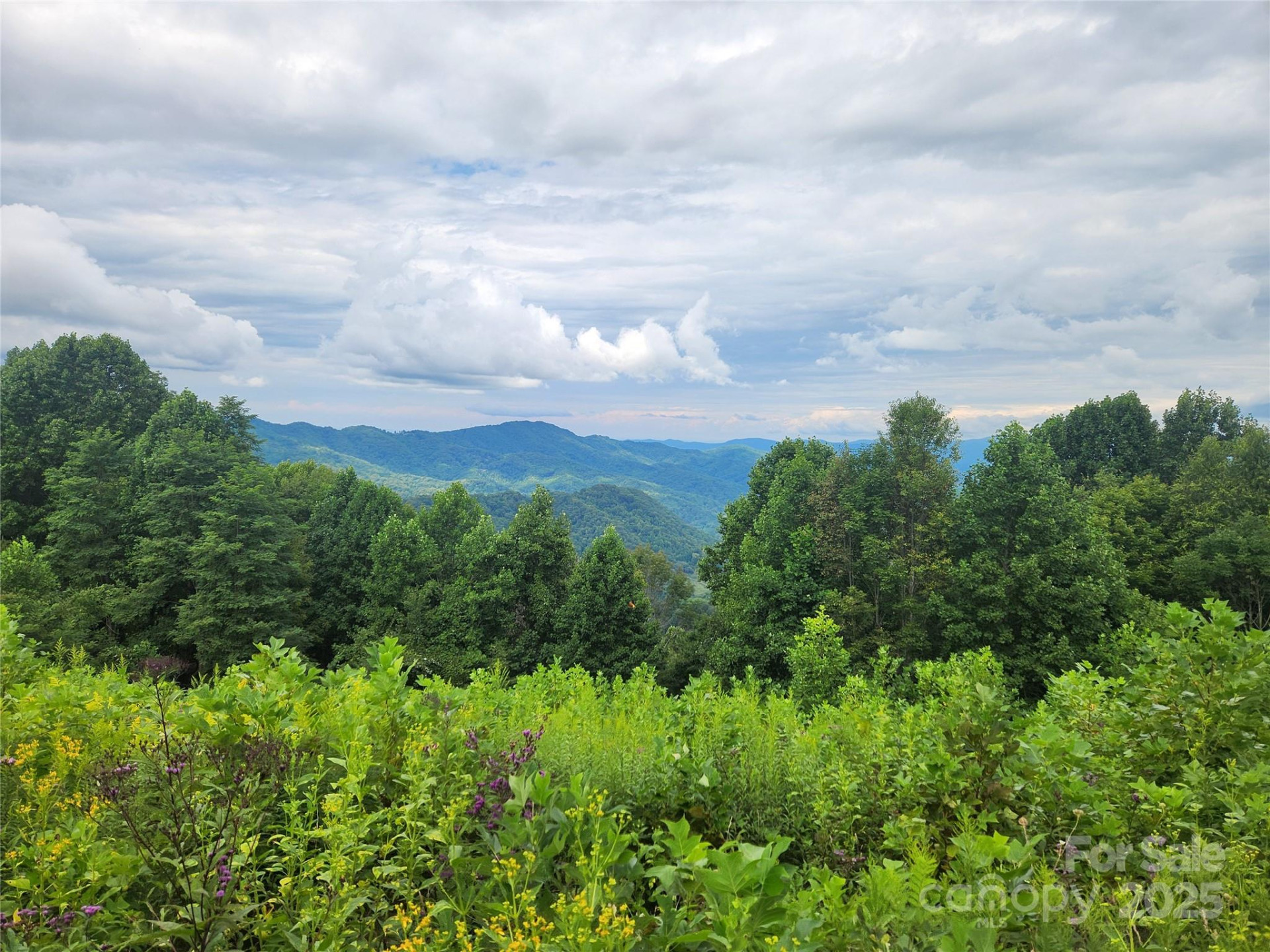 1925 Fork Road - Photo 37