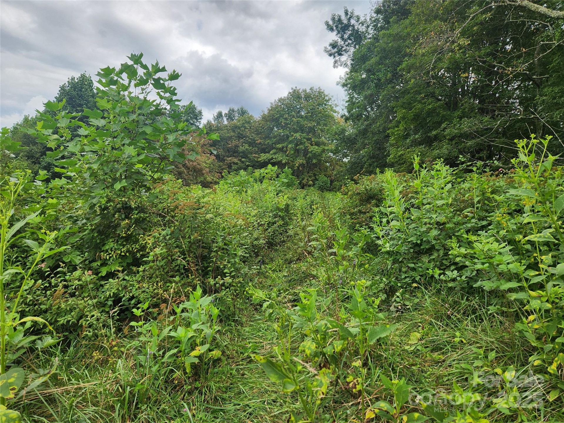 1925 Fork Road - Photo 38