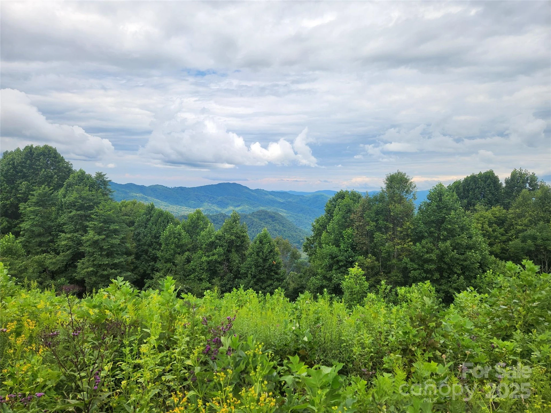 1925 Fork Road - Photo 39