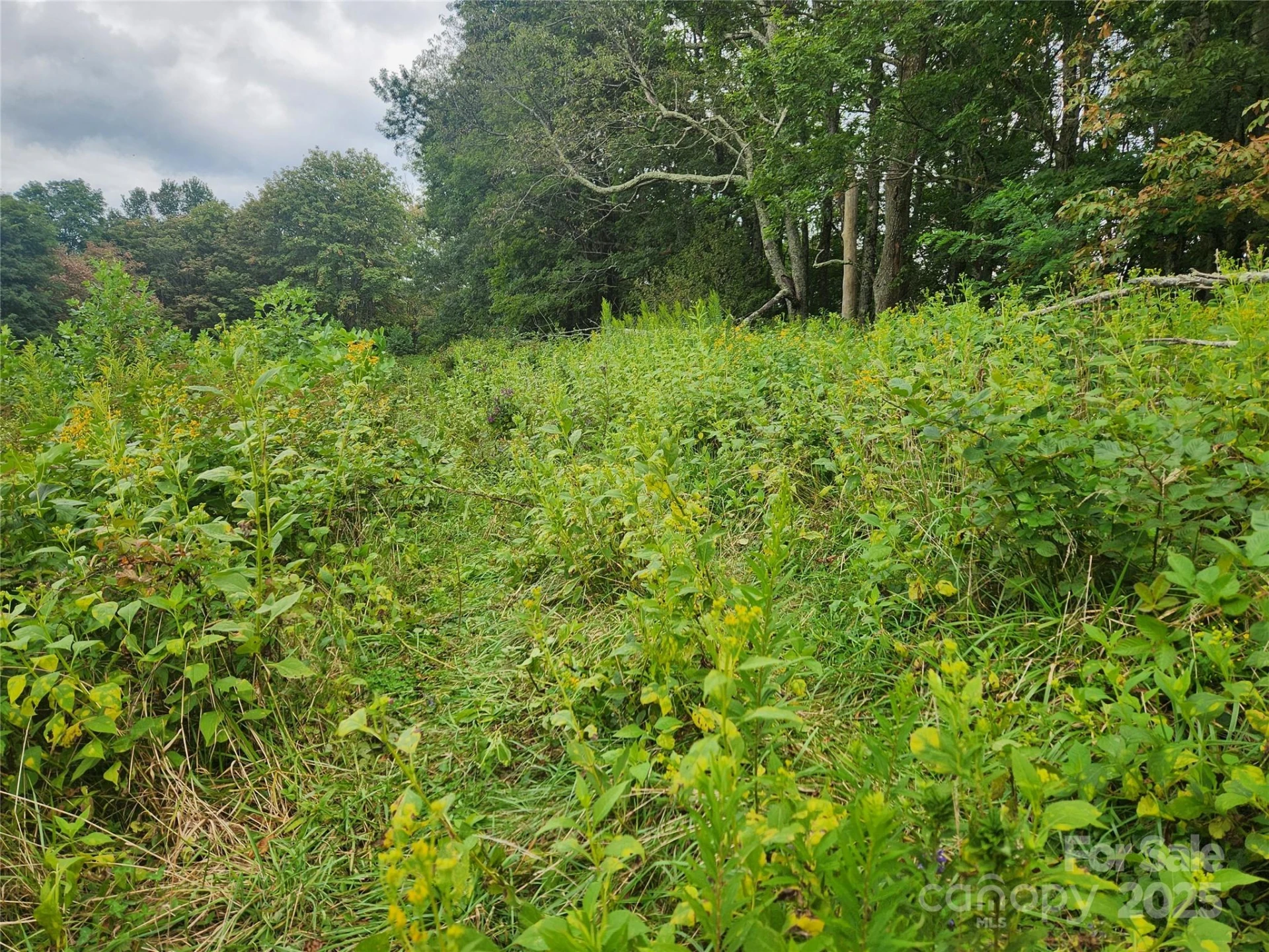 1925 Fork Road - Photo 40