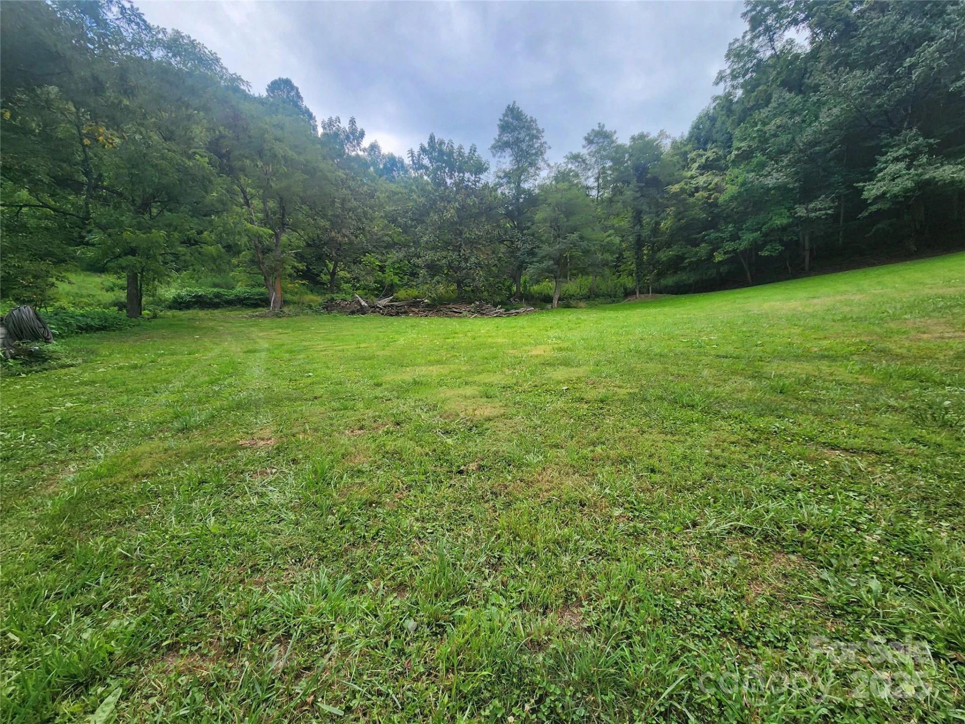 1925 Fork Road - Photo 5