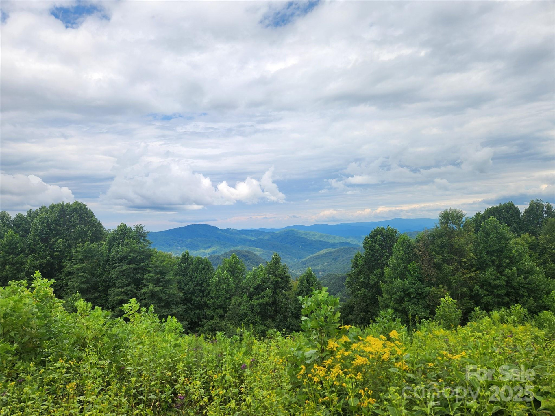 1925 Fork Road - Photo 41