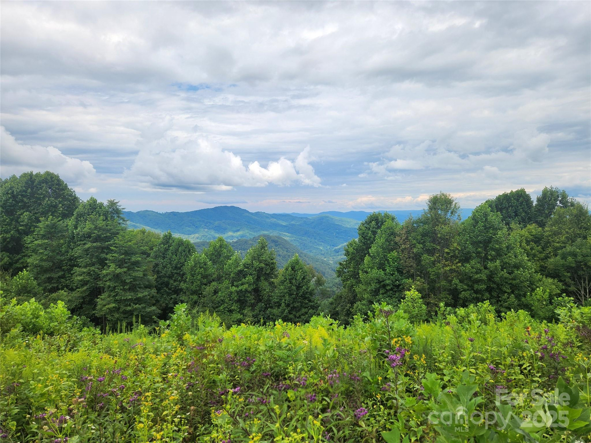 1925 Fork Road - Photo 42