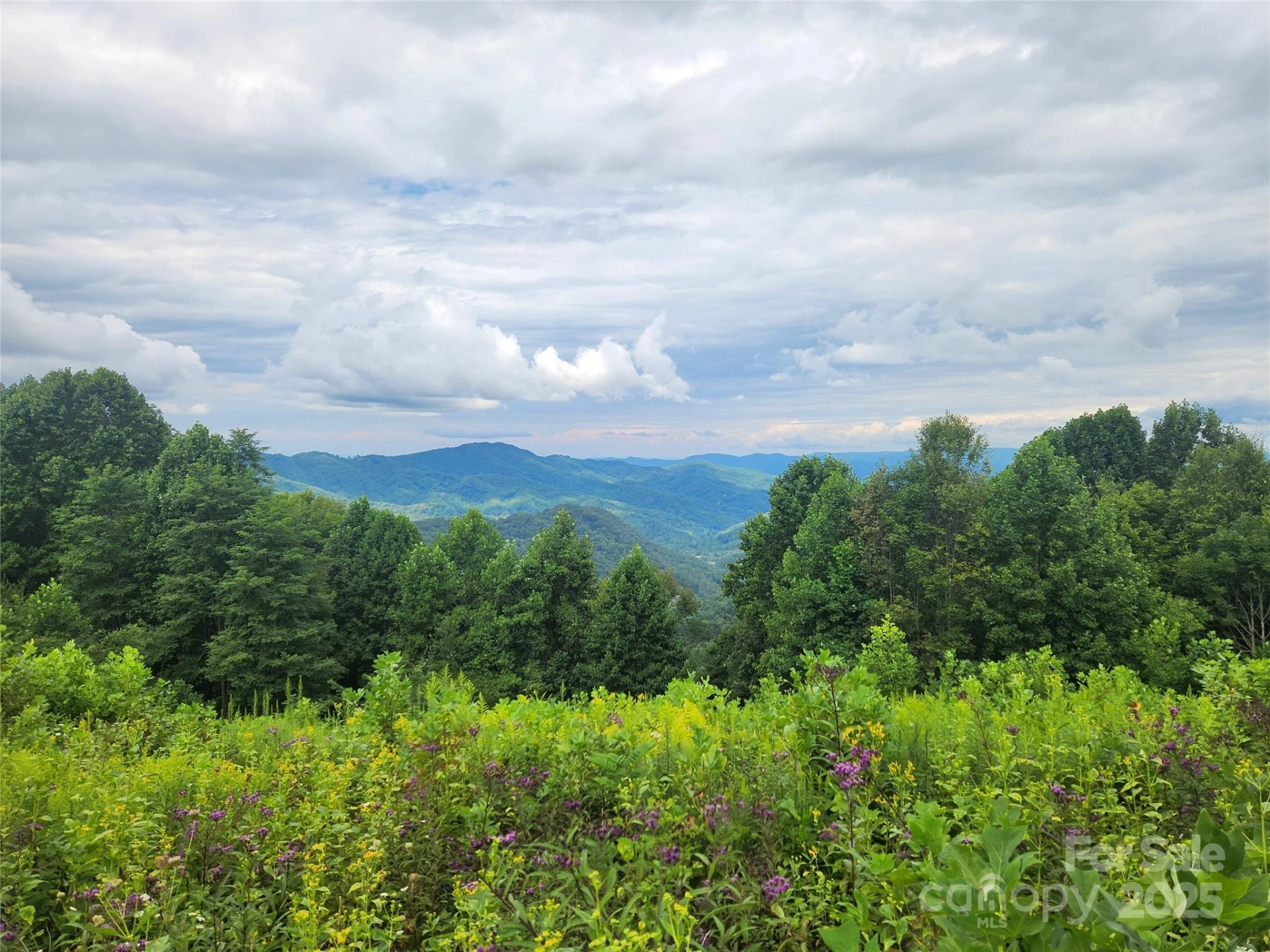 1925 Fork Road - Photo 42
