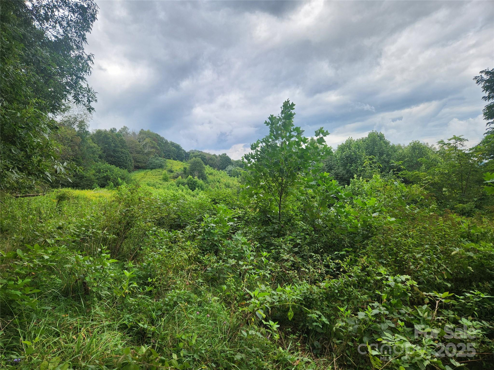 1925 Fork Road - Photo 43