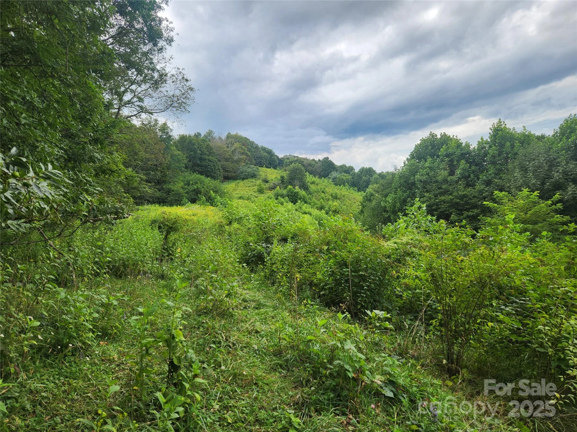1925 Fork Road - Photo 44