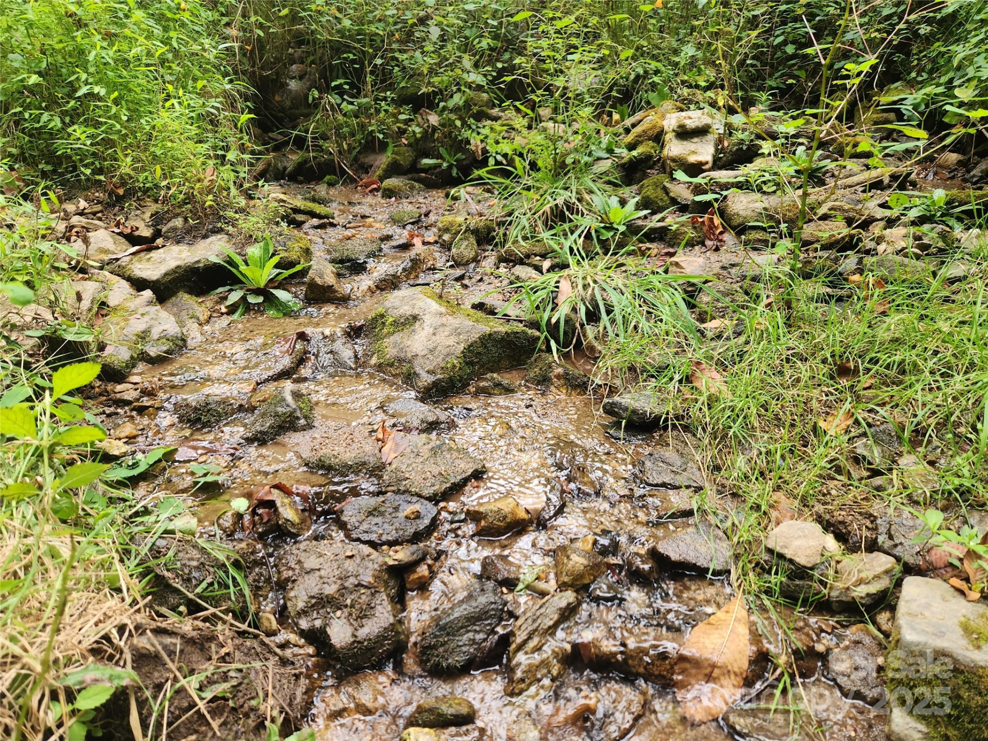 1925 Fork Road - Photo 6