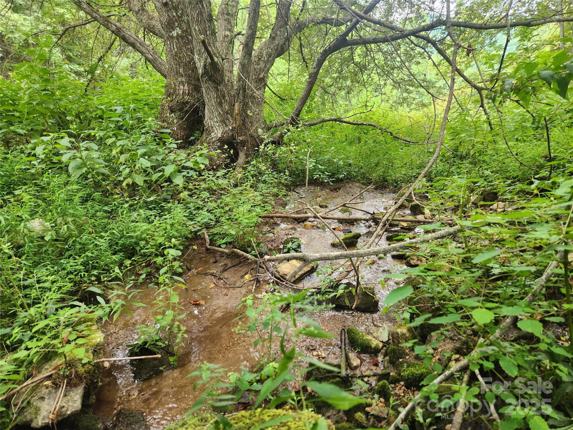 1925 Fork Road - Photo 7