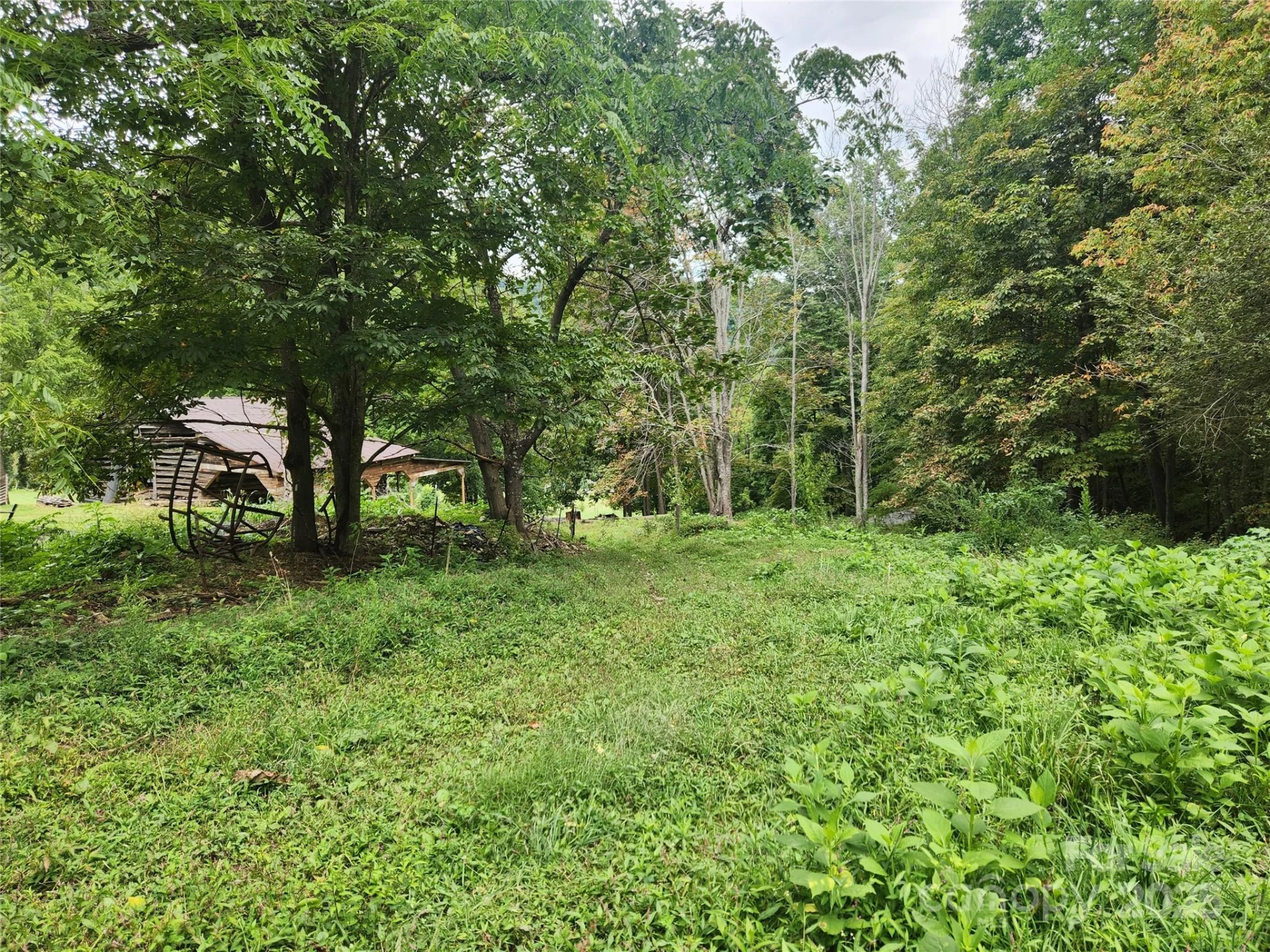 1925 Fork Road - Photo 8