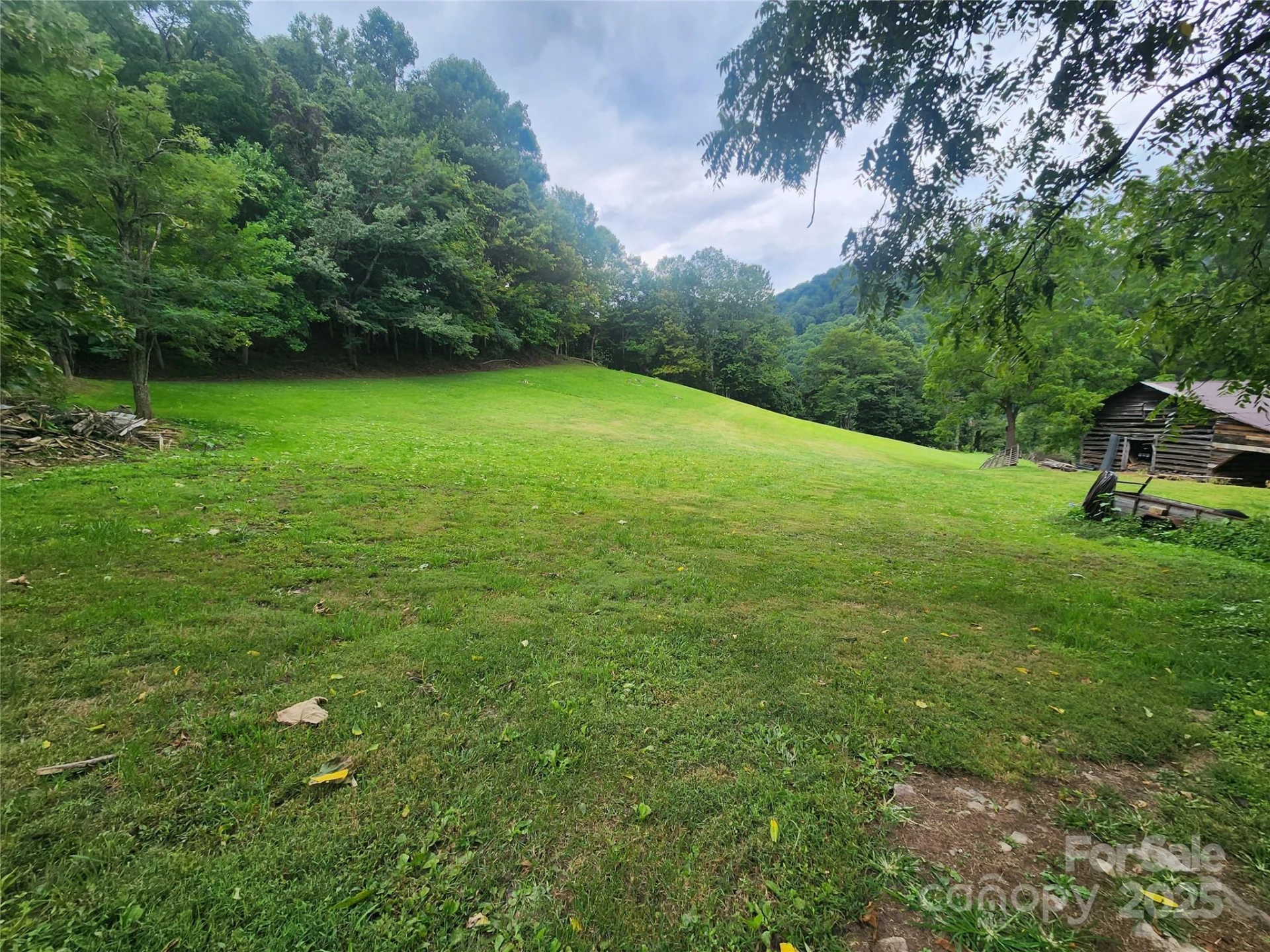 1925 Fork Road - Photo 9