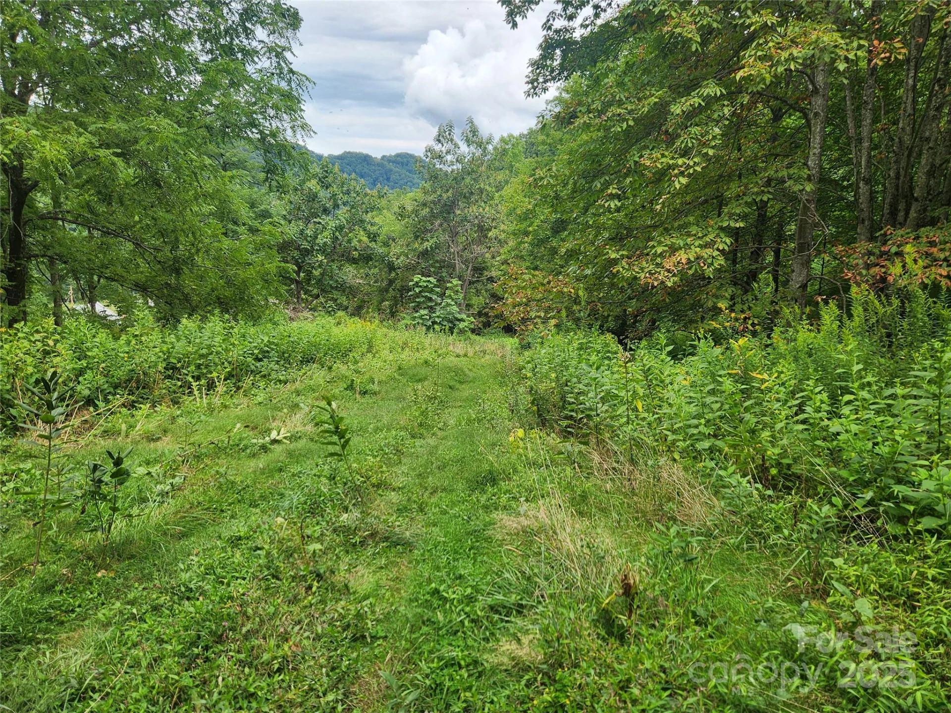 1925 Fork Road - Photo 10