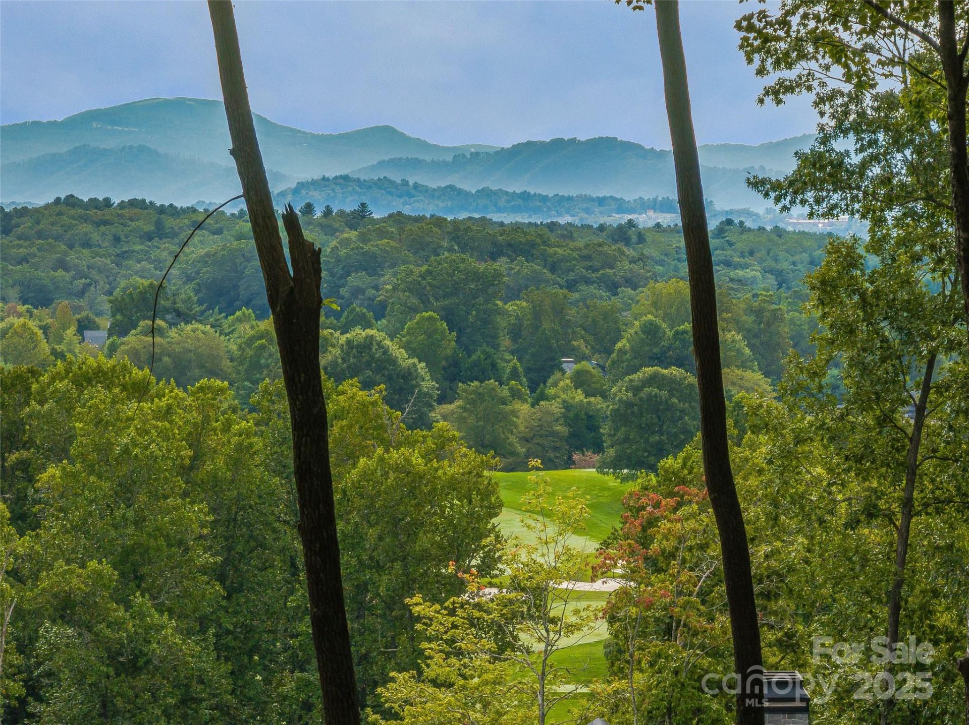 565 Walnut Valley Parkway #158 - Photo 2