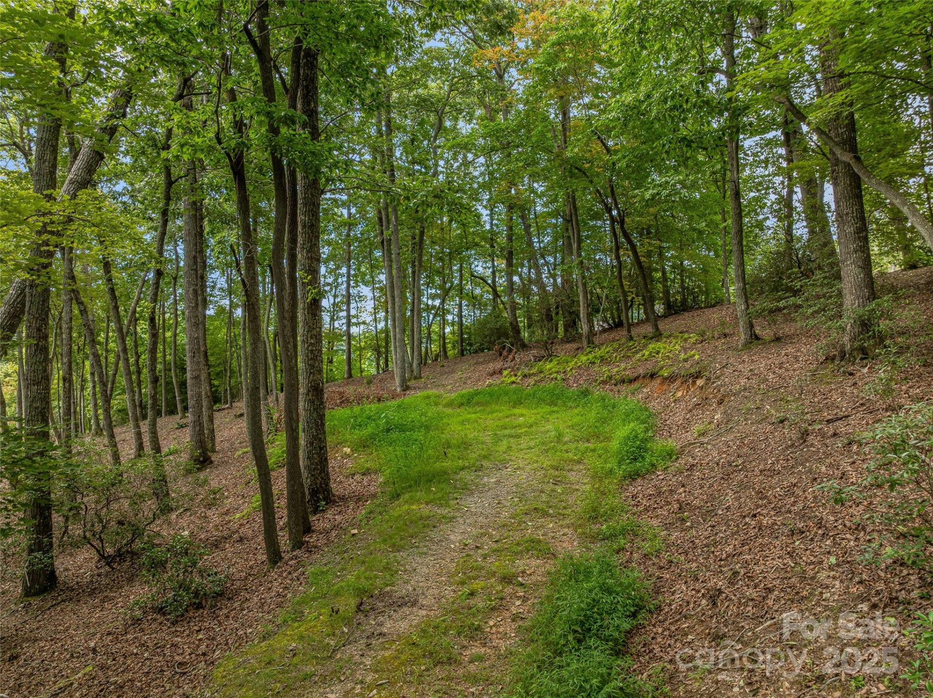 565 Walnut Valley Parkway #158 - Photo 14