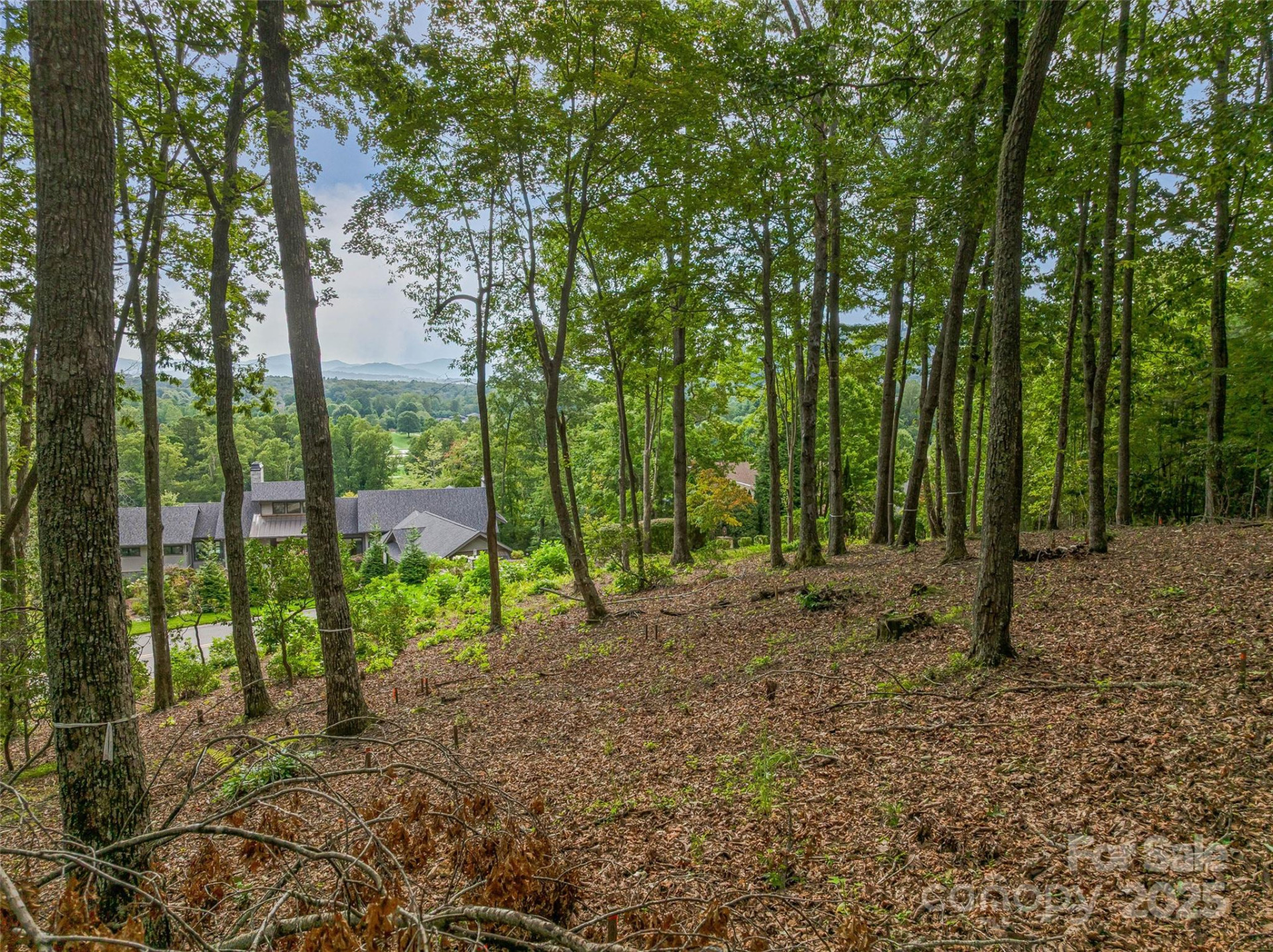 565 Walnut Valley Parkway #158 - Photo 19