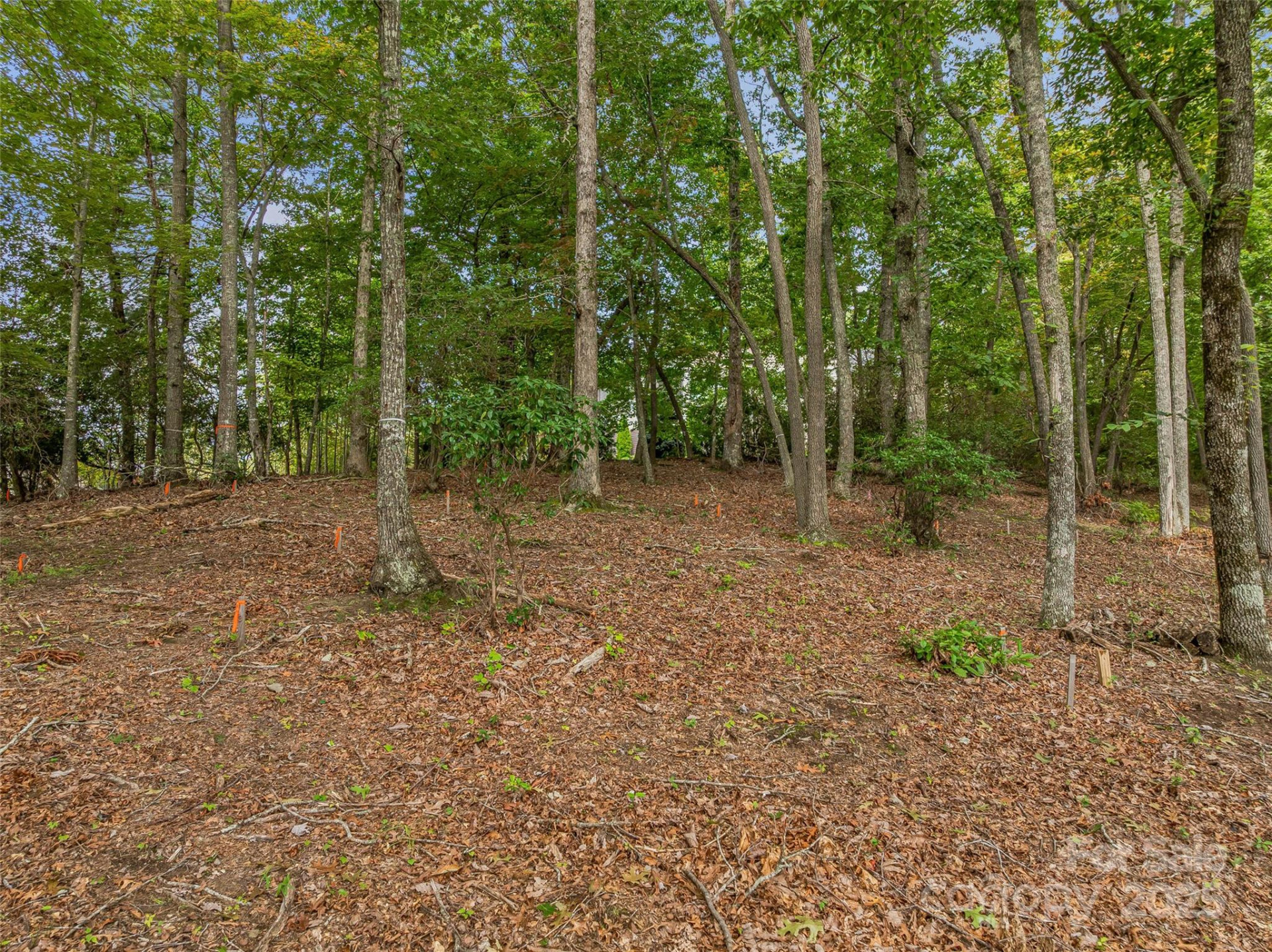 565 Walnut Valley Parkway #158 - Photo 20