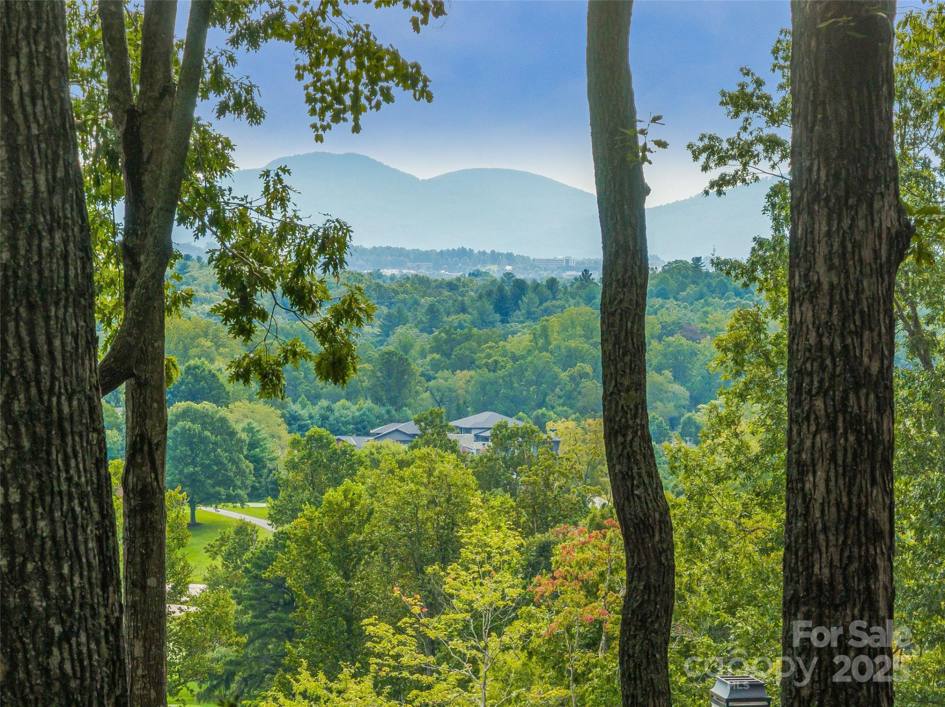 565 Walnut Valley Parkway #158 - Photo 4
