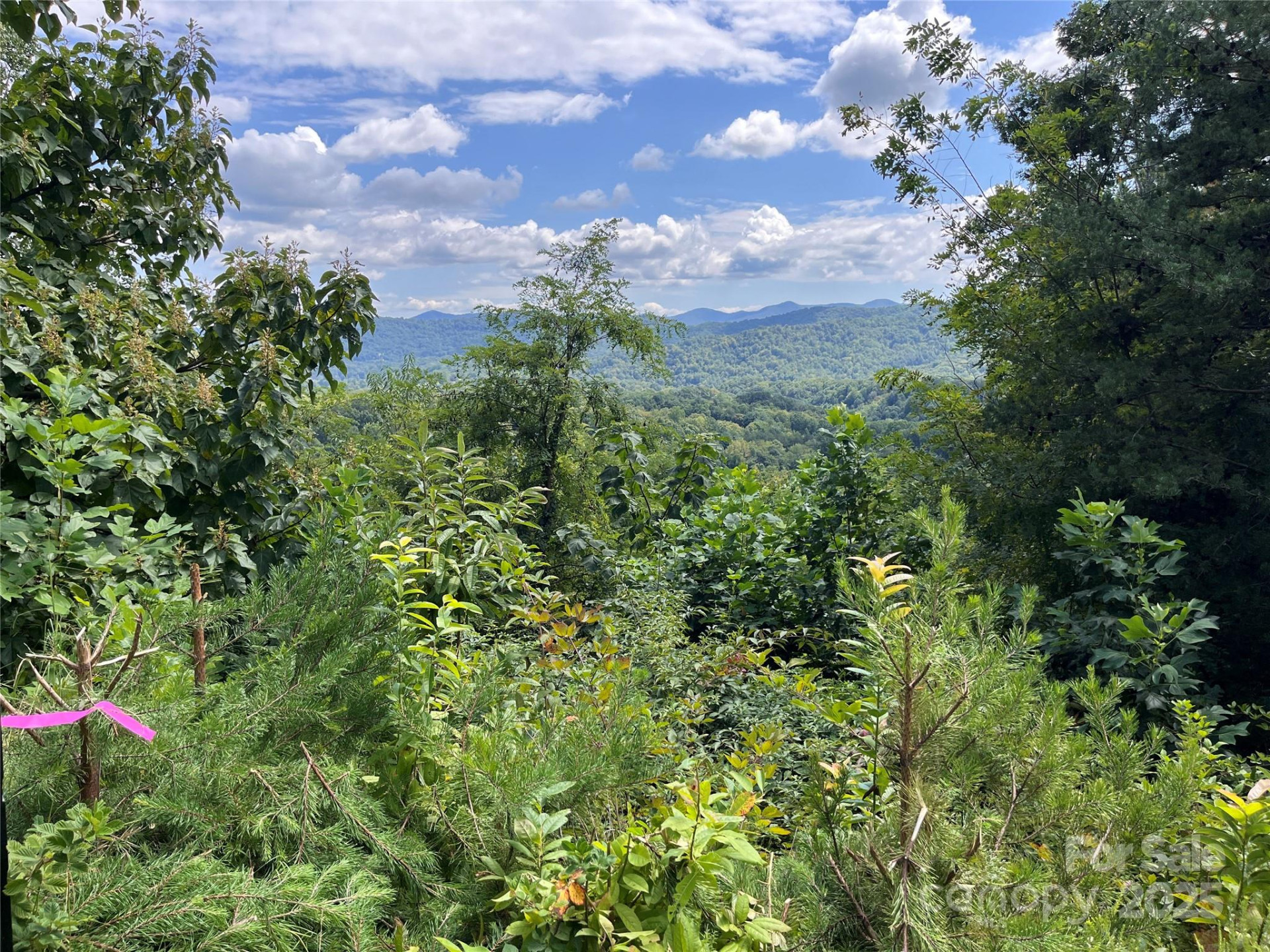 4 Summit View Drive #4 - Photo 13