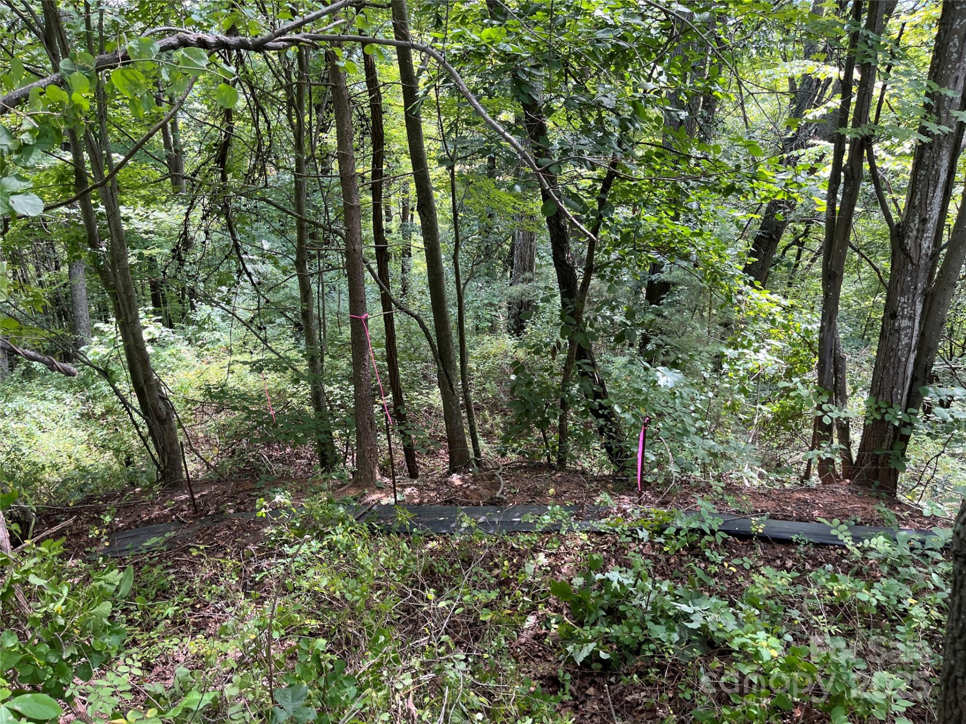 4 Summit View Drive #4 - Photo 14