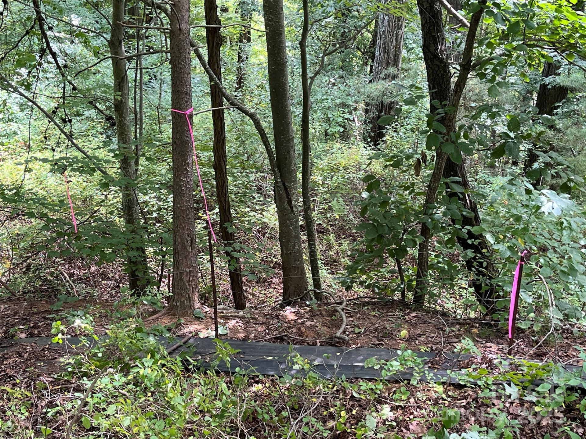 4 Summit View Drive #4 - Photo 15