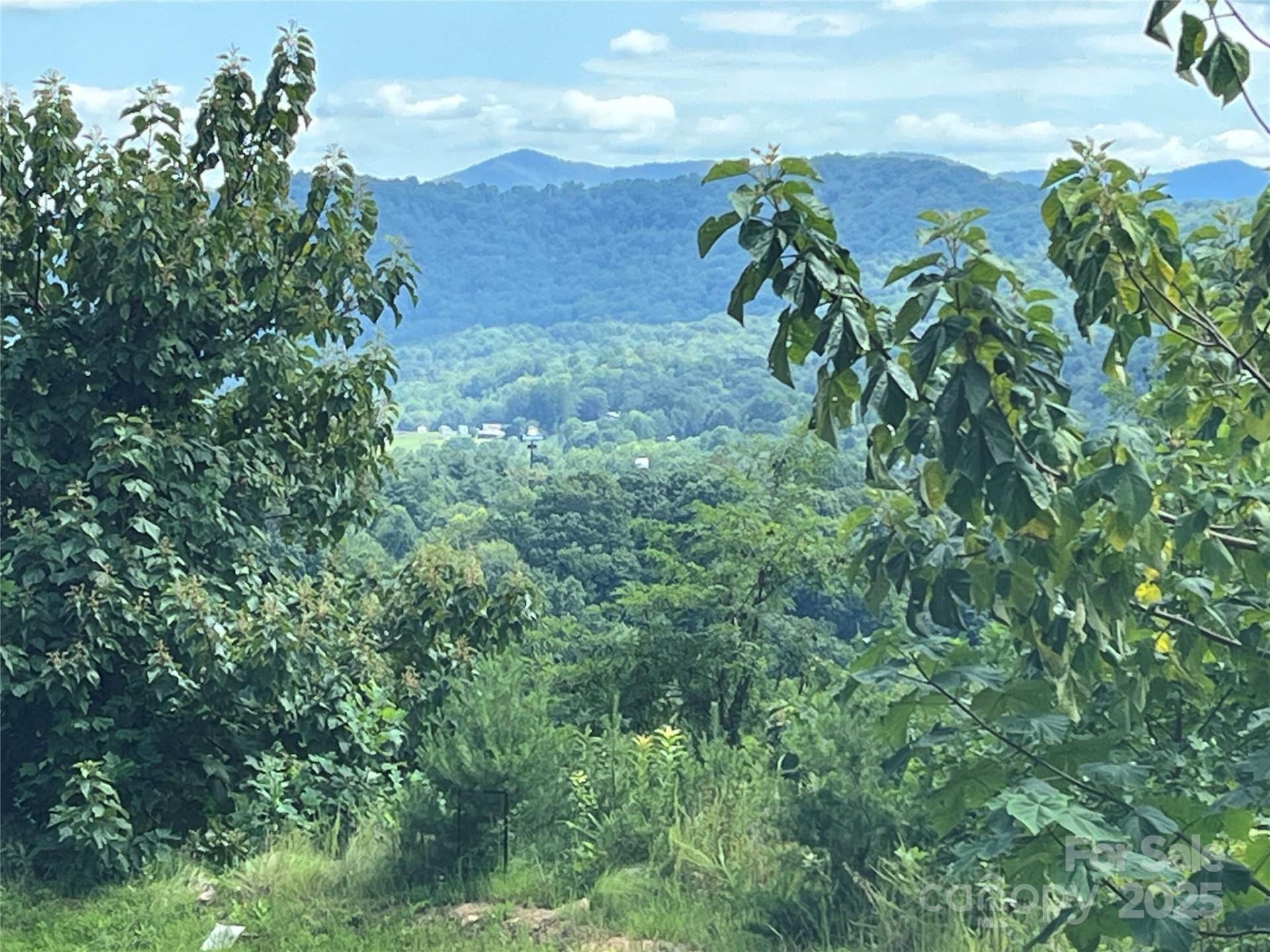 4 Summit View Drive #4 - Photo 3