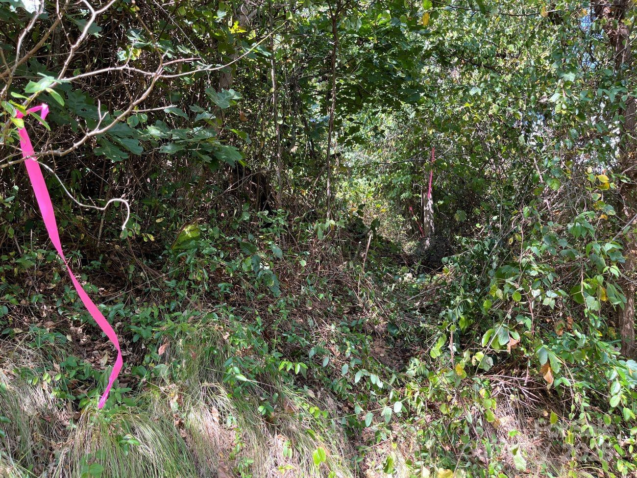 4 Summit View Drive #4 - Photo 23