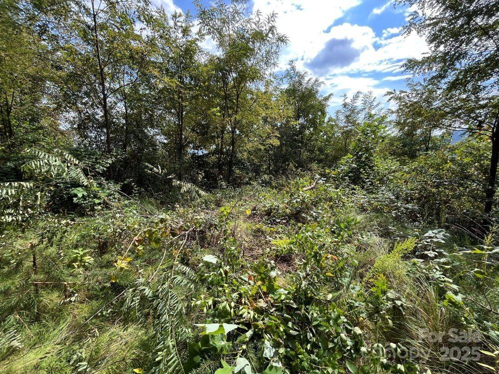 4 Summit View Drive #4 - Photo 8