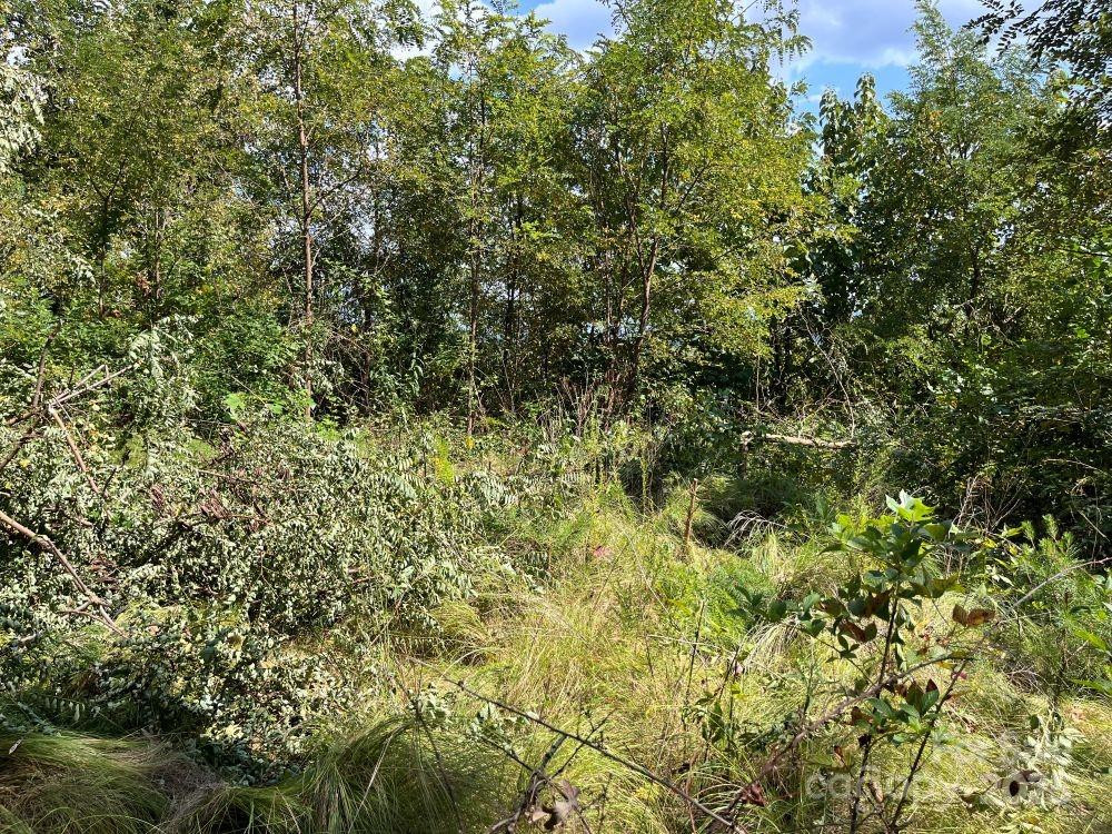 4 Summit View Drive #4 - Photo 9