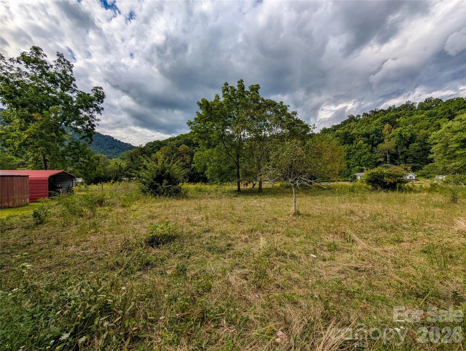 165 Cattail Creek Road - Photo 23