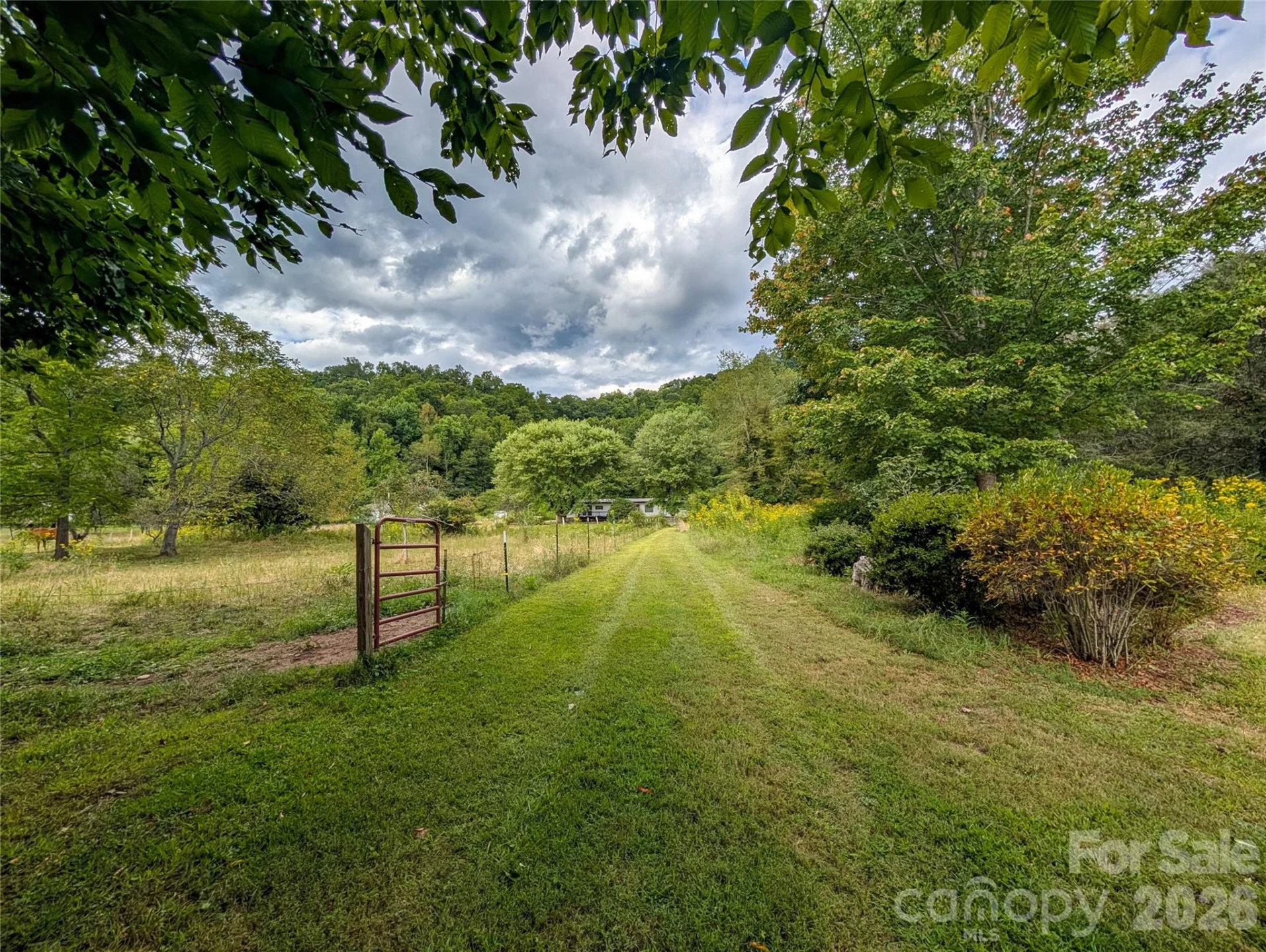 165 Cattail Creek Road - Photo 29