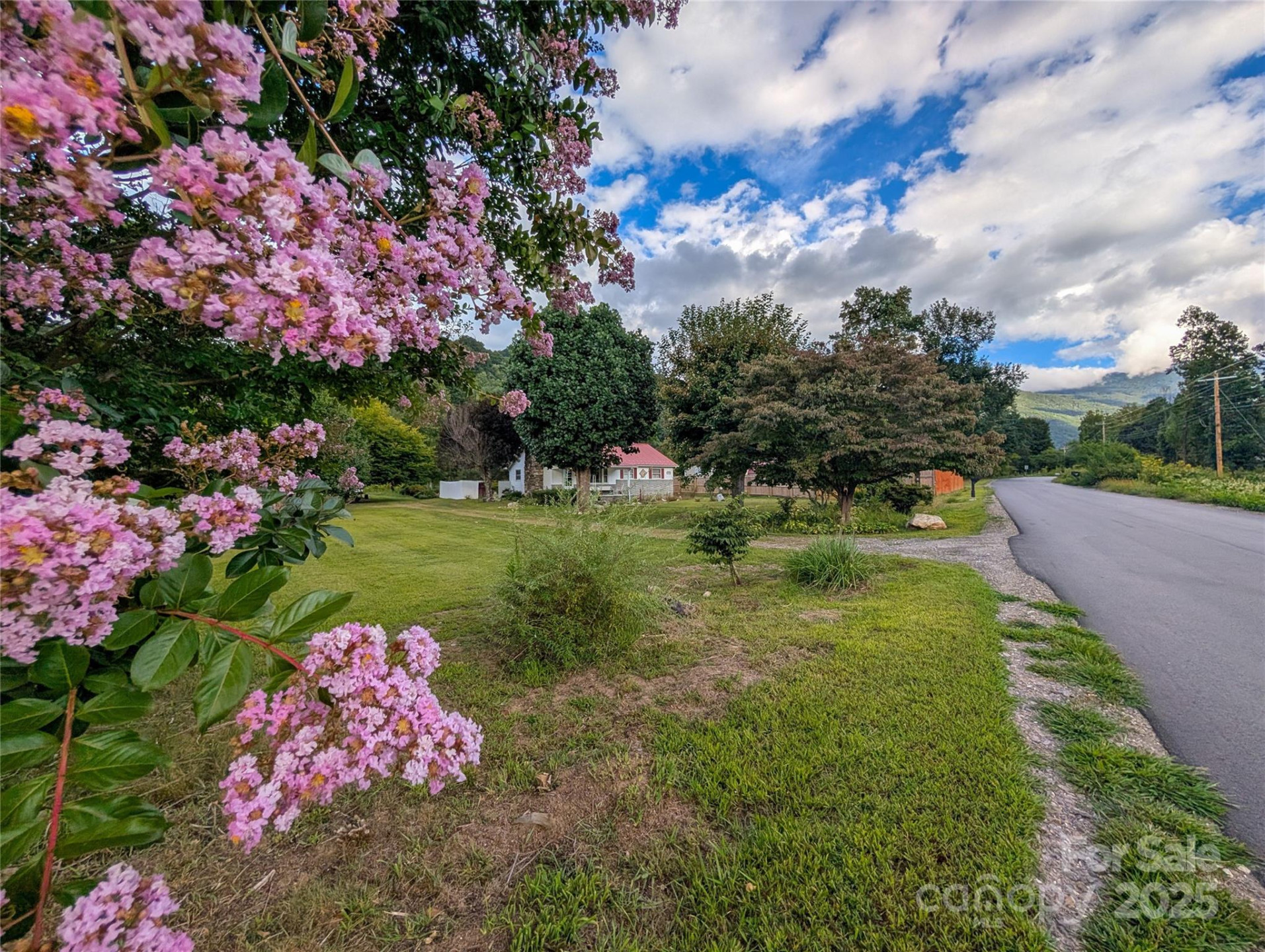 165 Cattail Creek Road - Photo 3