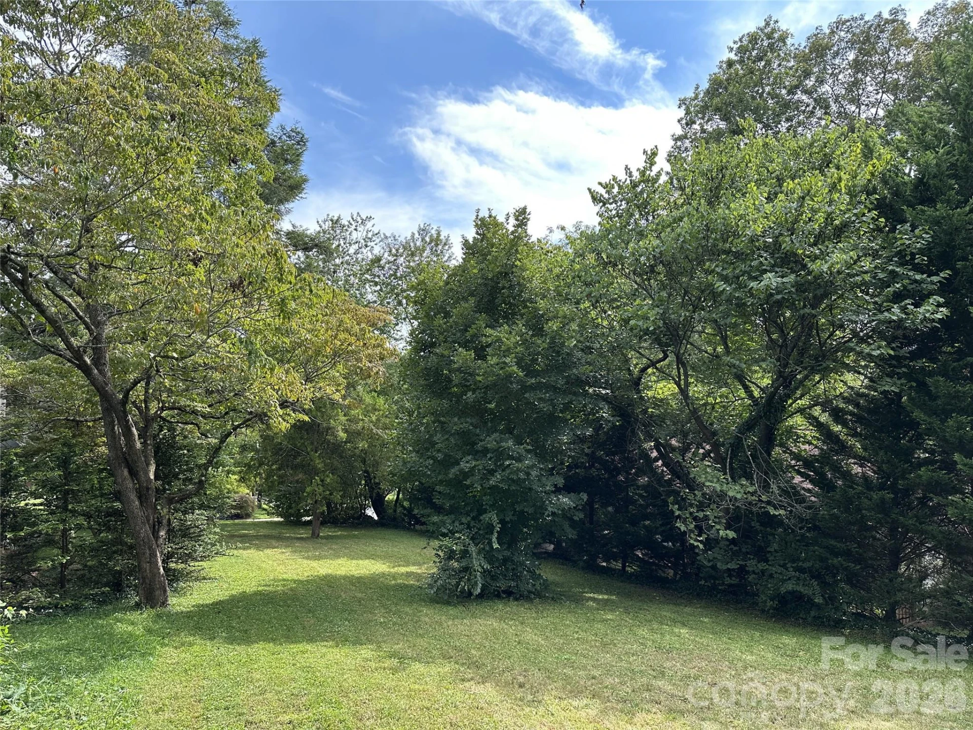 61 Maney Avenue - Photo 3